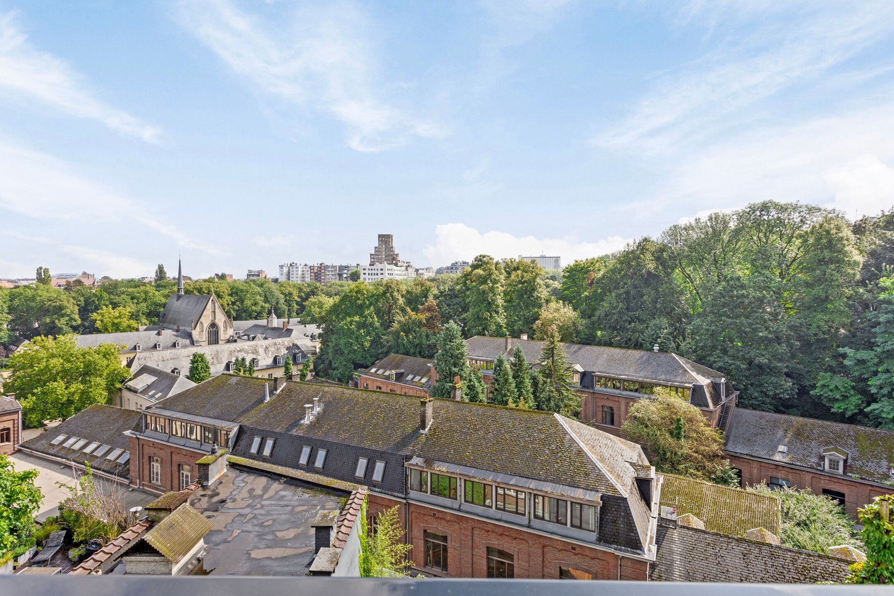Statige herenwoning te Brussel  foto 3