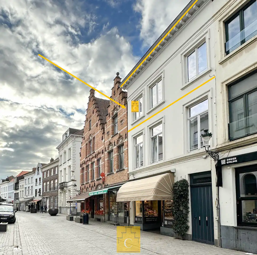 knap dakappartement in 19e eeuws herenhuis met zonnig terras en adembenemende uitzichten foto 29