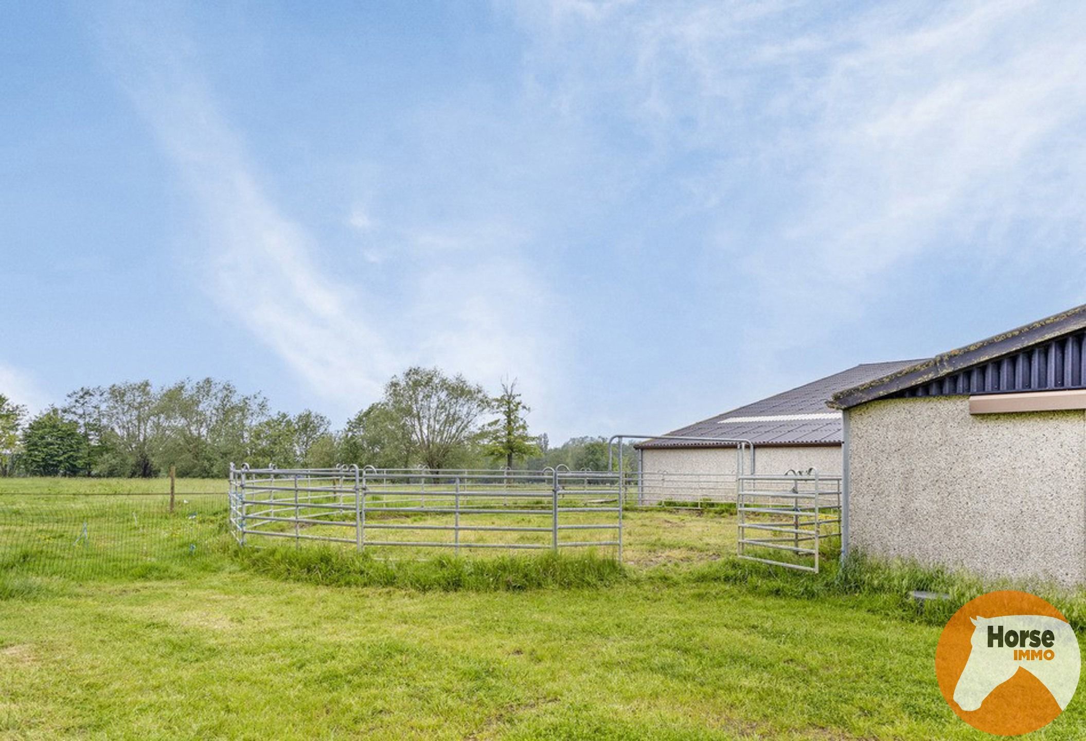 JABBEKE - Luxueuze paardenaccommodatie met woning foto 47