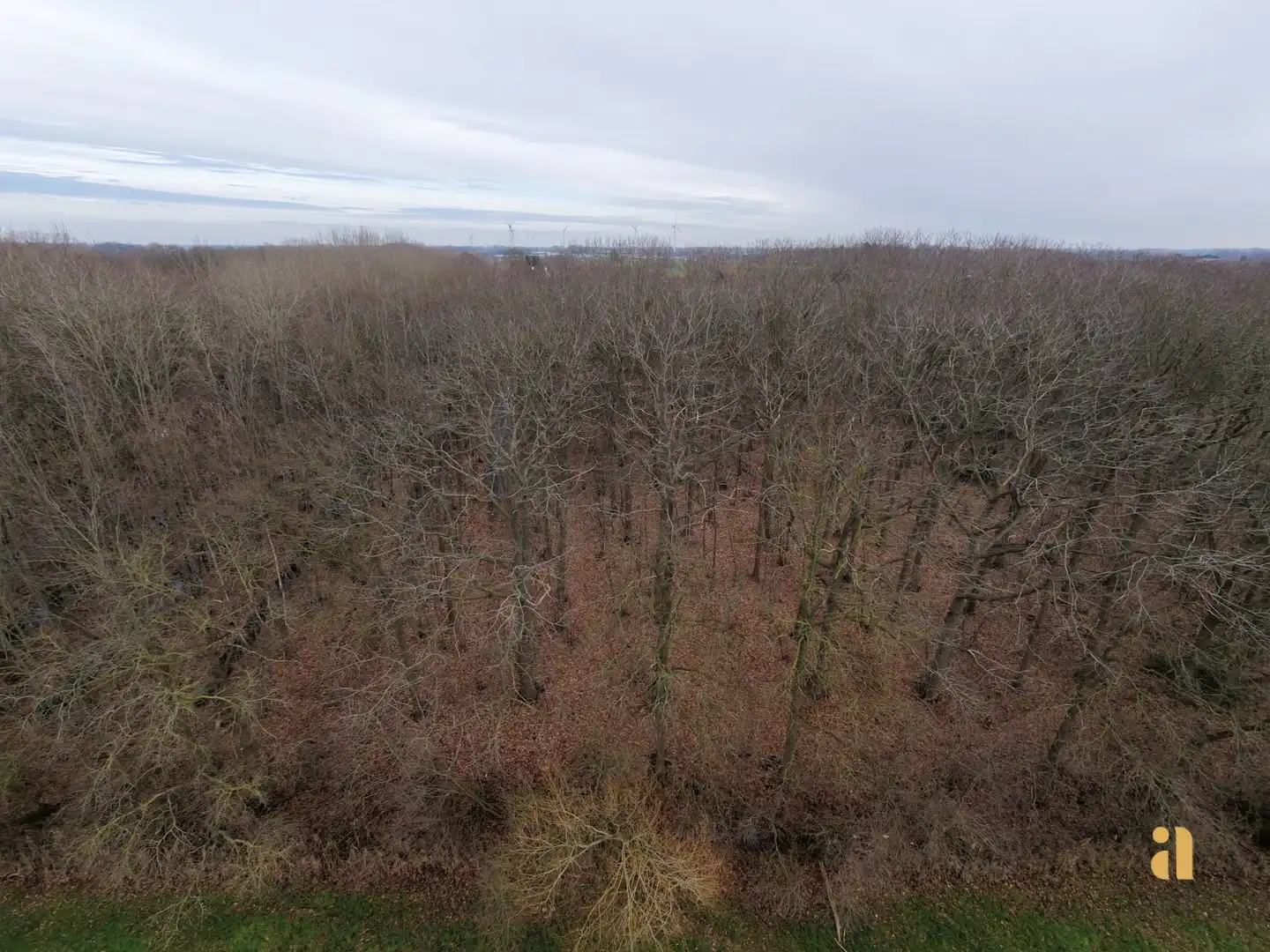 Bosperceel met aangrenzend weiland in landelijke omgeving foto 8