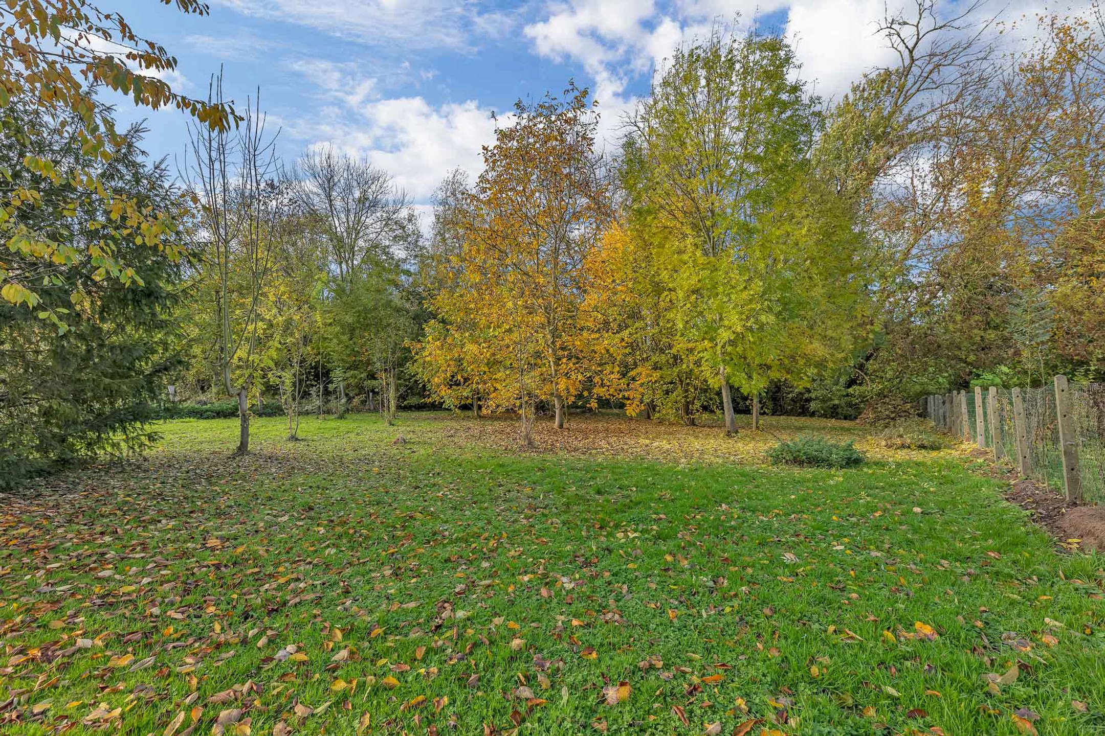 Woning met loods en 510 m² bewoonbare oppervlakte in Velzeke foto 29