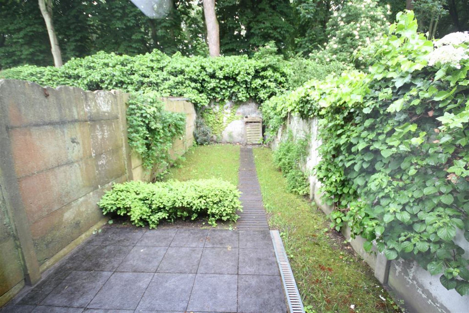 Gezellige en mooi gerenoveerde stadswoning  foto 5