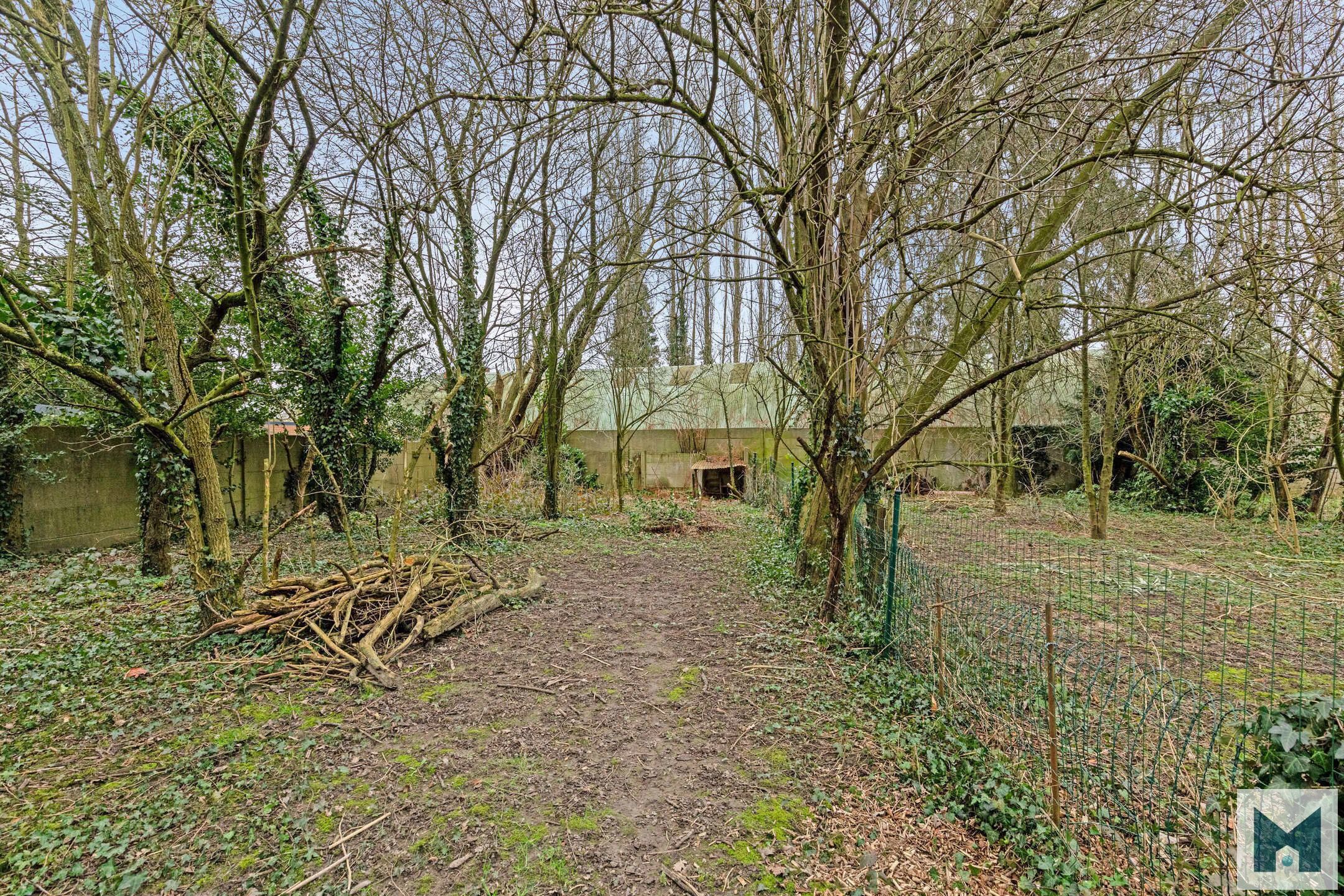 Bel-etage met 5 slaapkamers + handelsruimte en bijbouw! foto 32