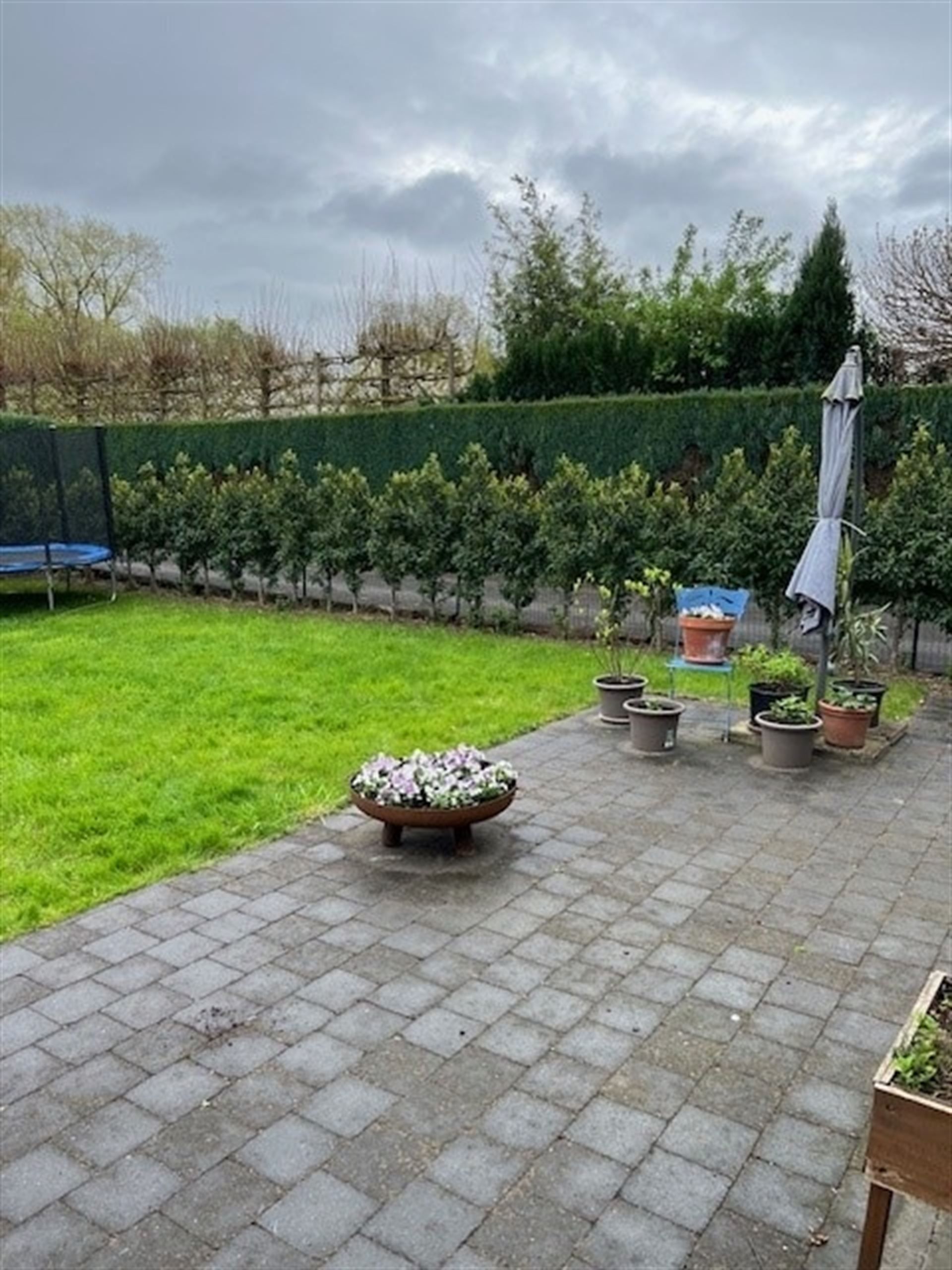 Boerderij foto 4