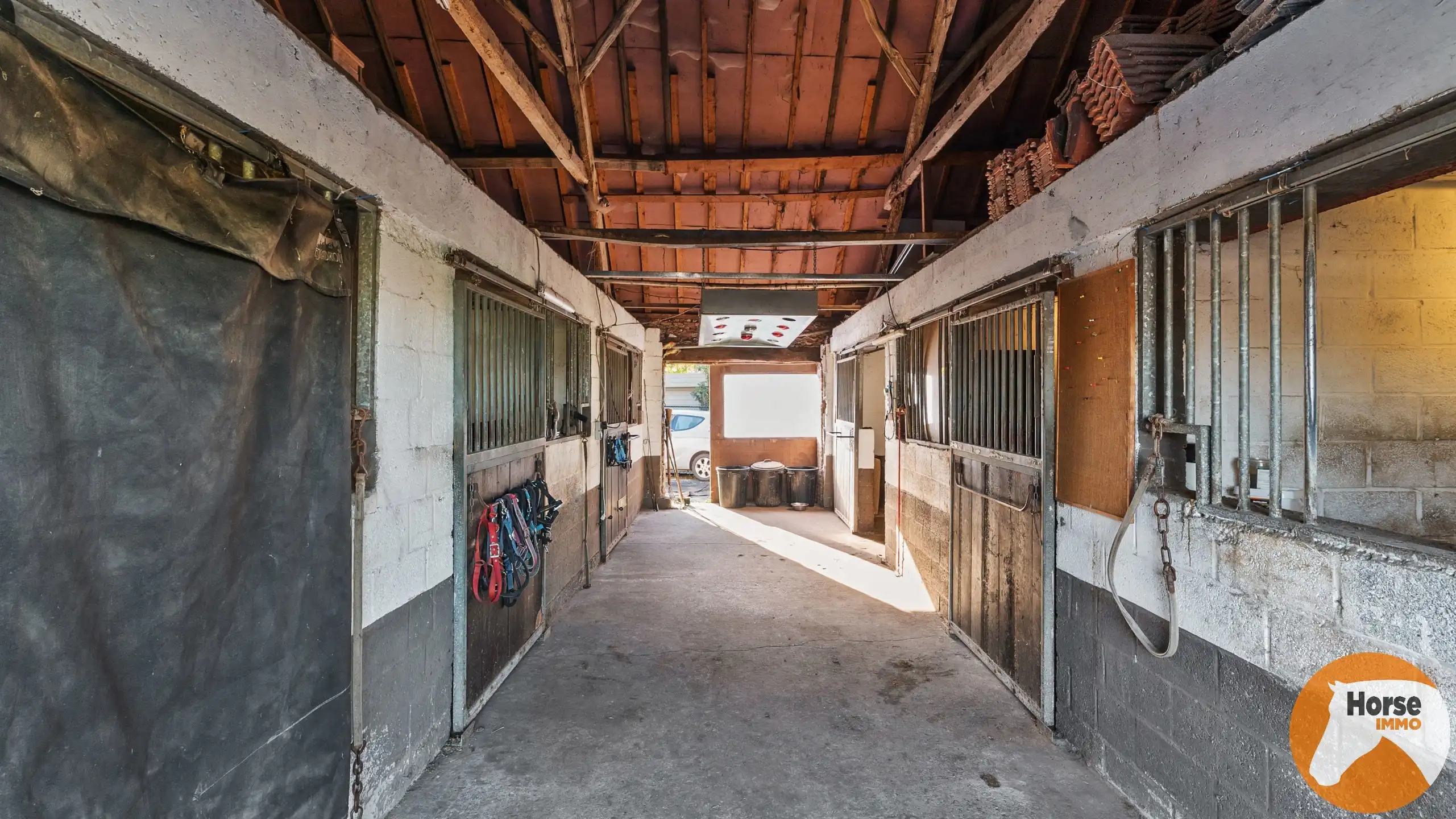 PUTTE - Landelijk wonen met extra verhuurwoning foto 33