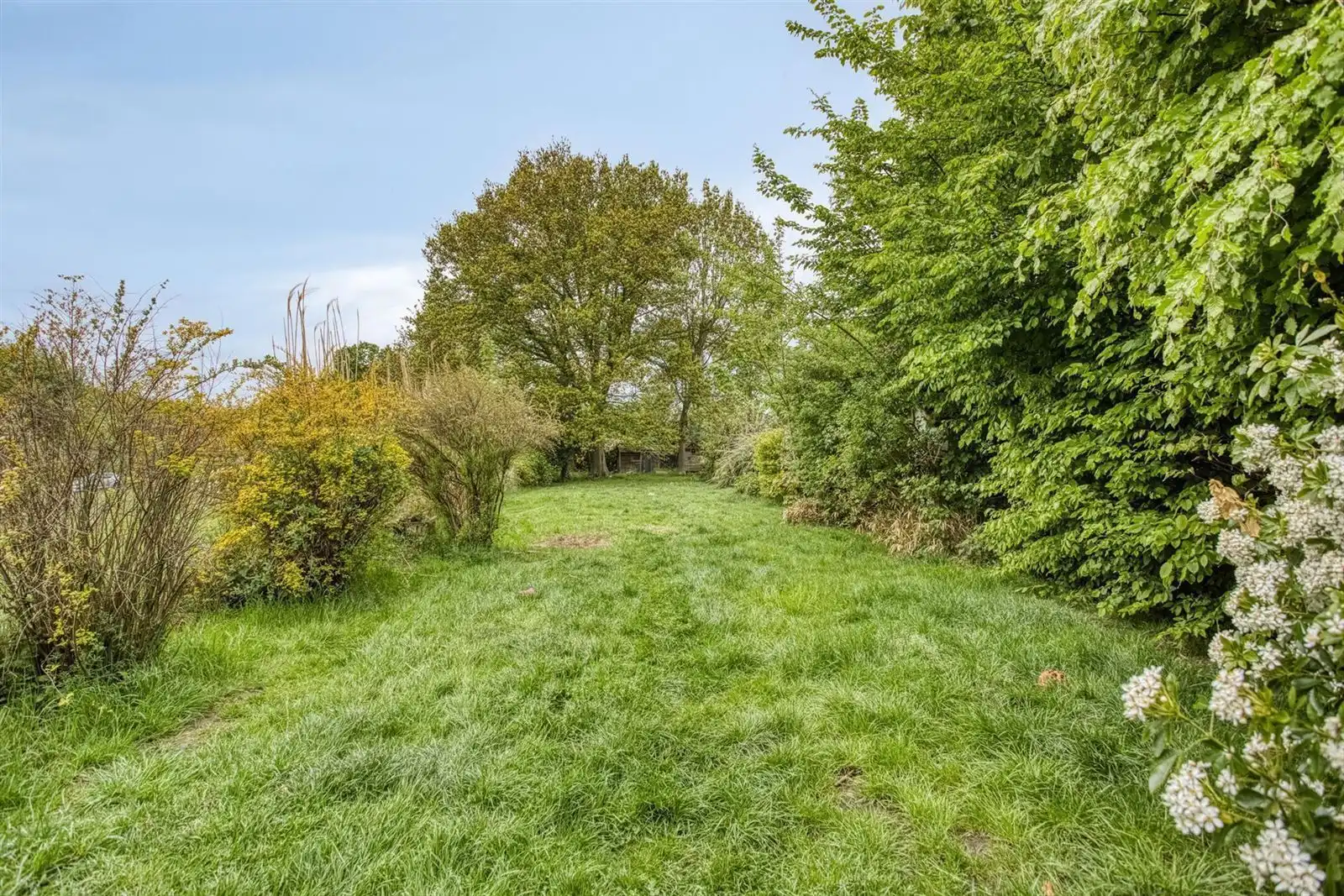 Woning met grote tuin te Dworp foto 20