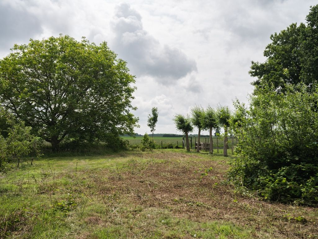 Dikkelvenne – Te renoveren hoeve op een terrein van 2.179 m², omgeven door groen en weides. foto 24
