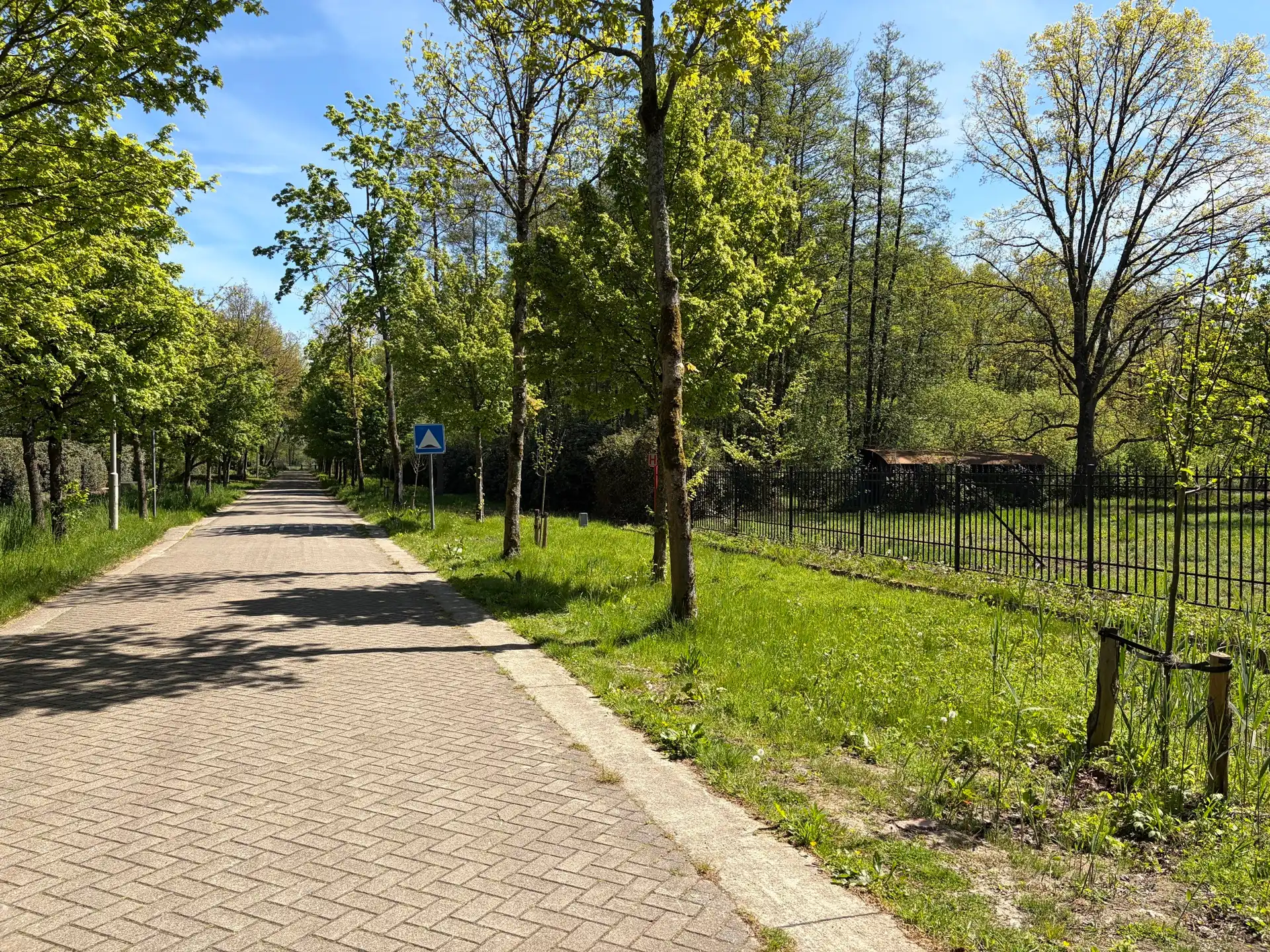 Prachtige bouwgrond met aanpalend natuurgebied op 1,1 ha foto 4