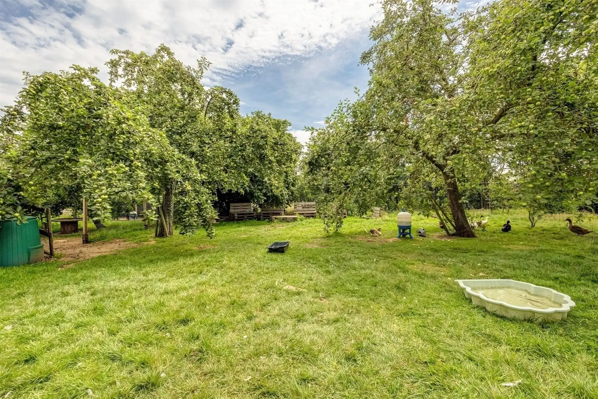 Instapklare en energiezuinige woning op ca. 20 are foto 30