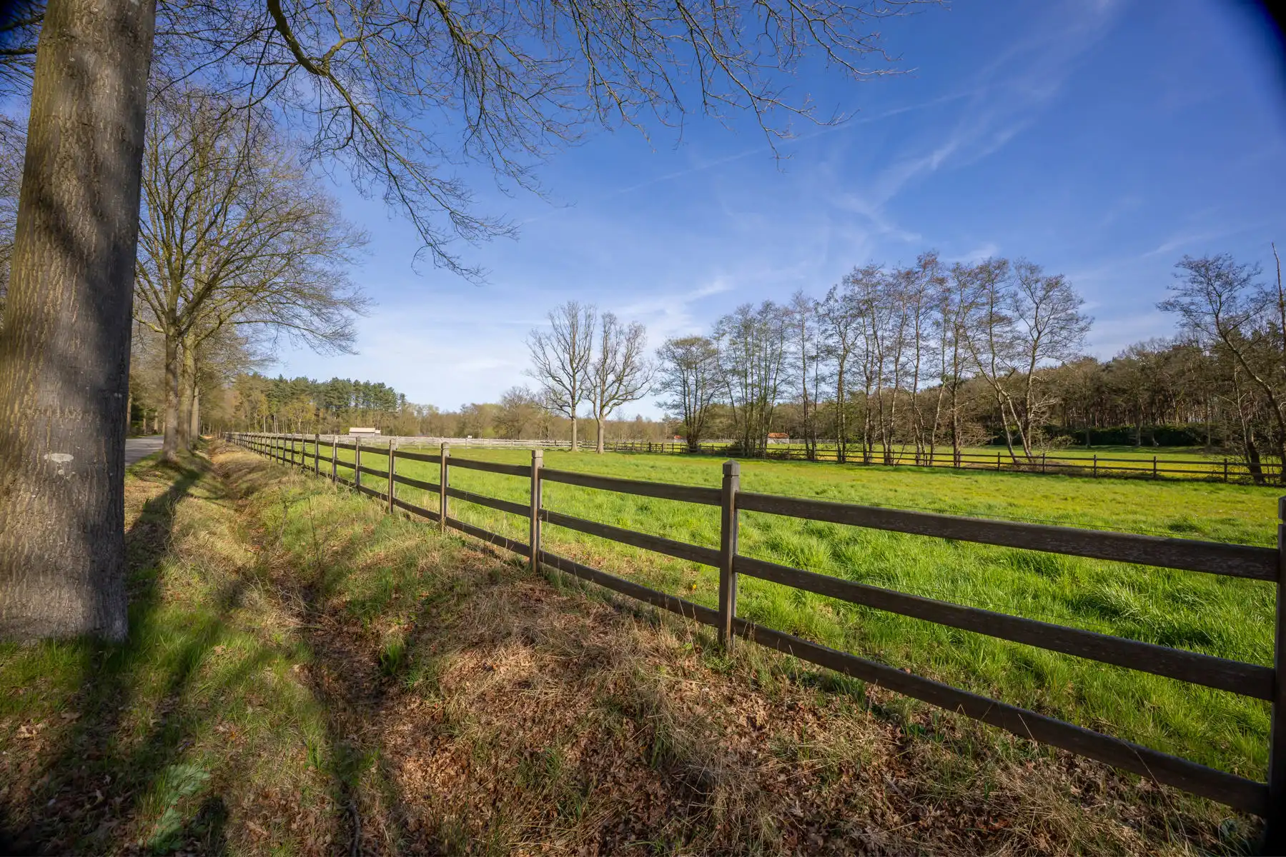 Schitterend domein van 7,7 ha met prachtige villa, zwembad, guesthouse, ruime schuur en uitgebreide paardenfaciliteiten. foto 42