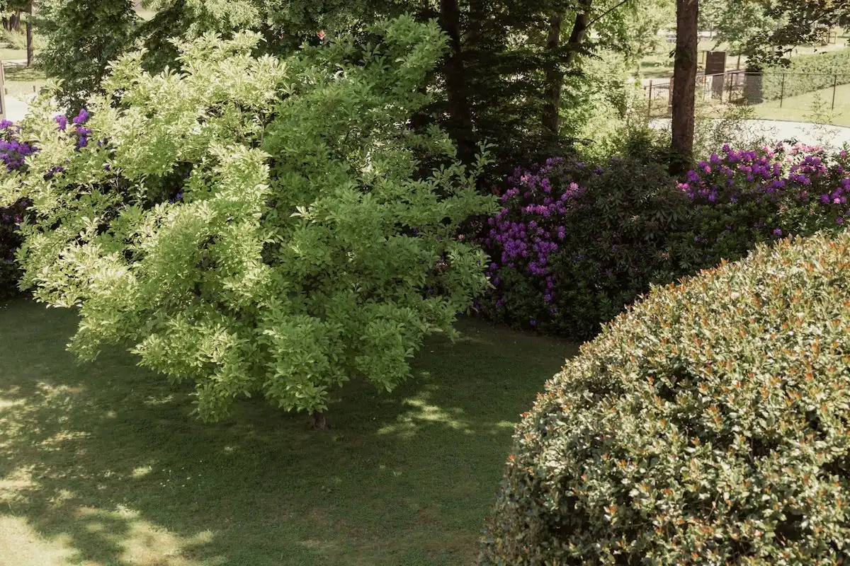 Karaktervolle ingenieursvilla op toplocatie in Zwartberg – uniek wonen nabij La Biomista foto 56