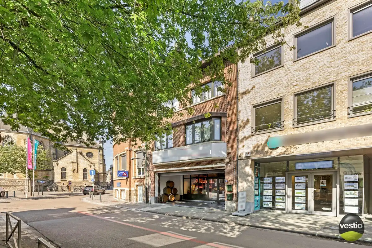 HANDELSHUIS IN CENTRUM VAN BILZEN. foto 3