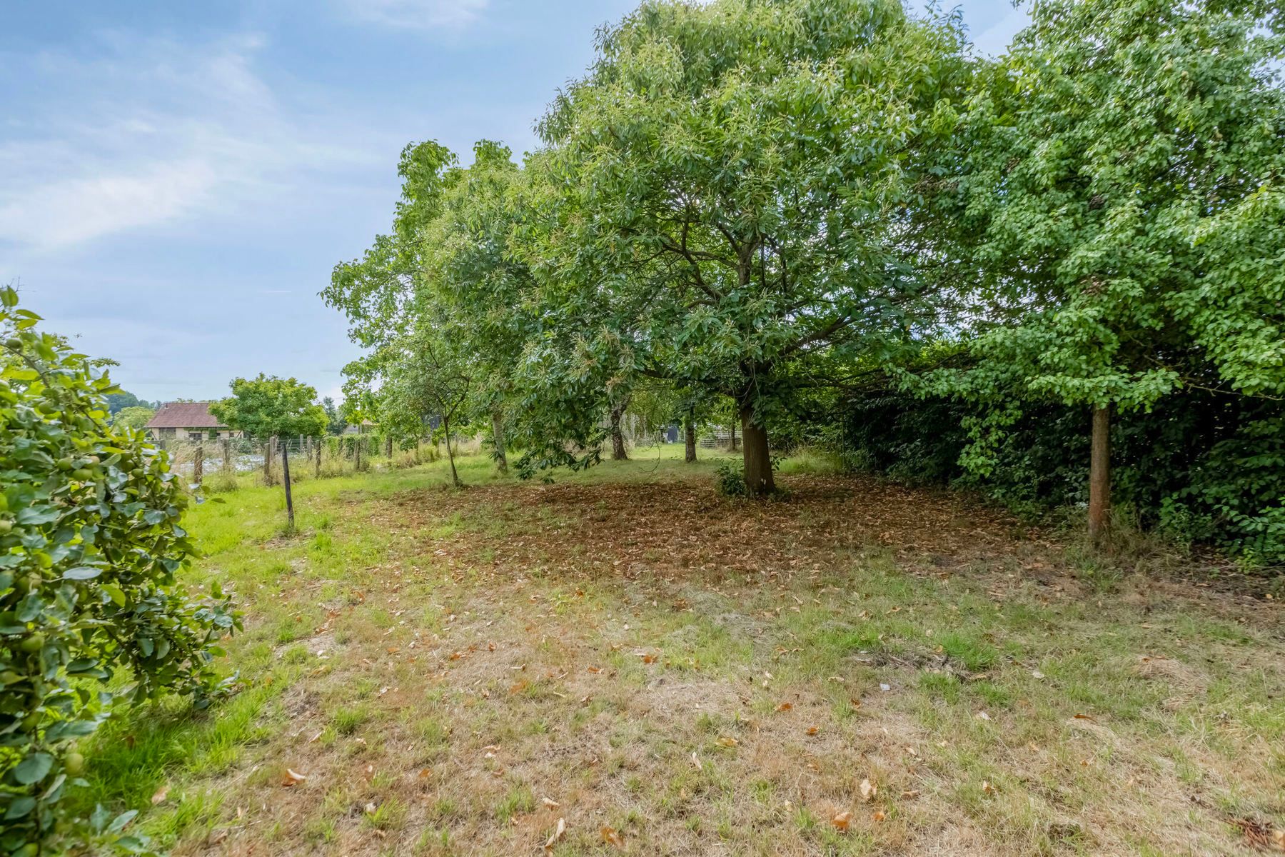 Huis te koop foto 36