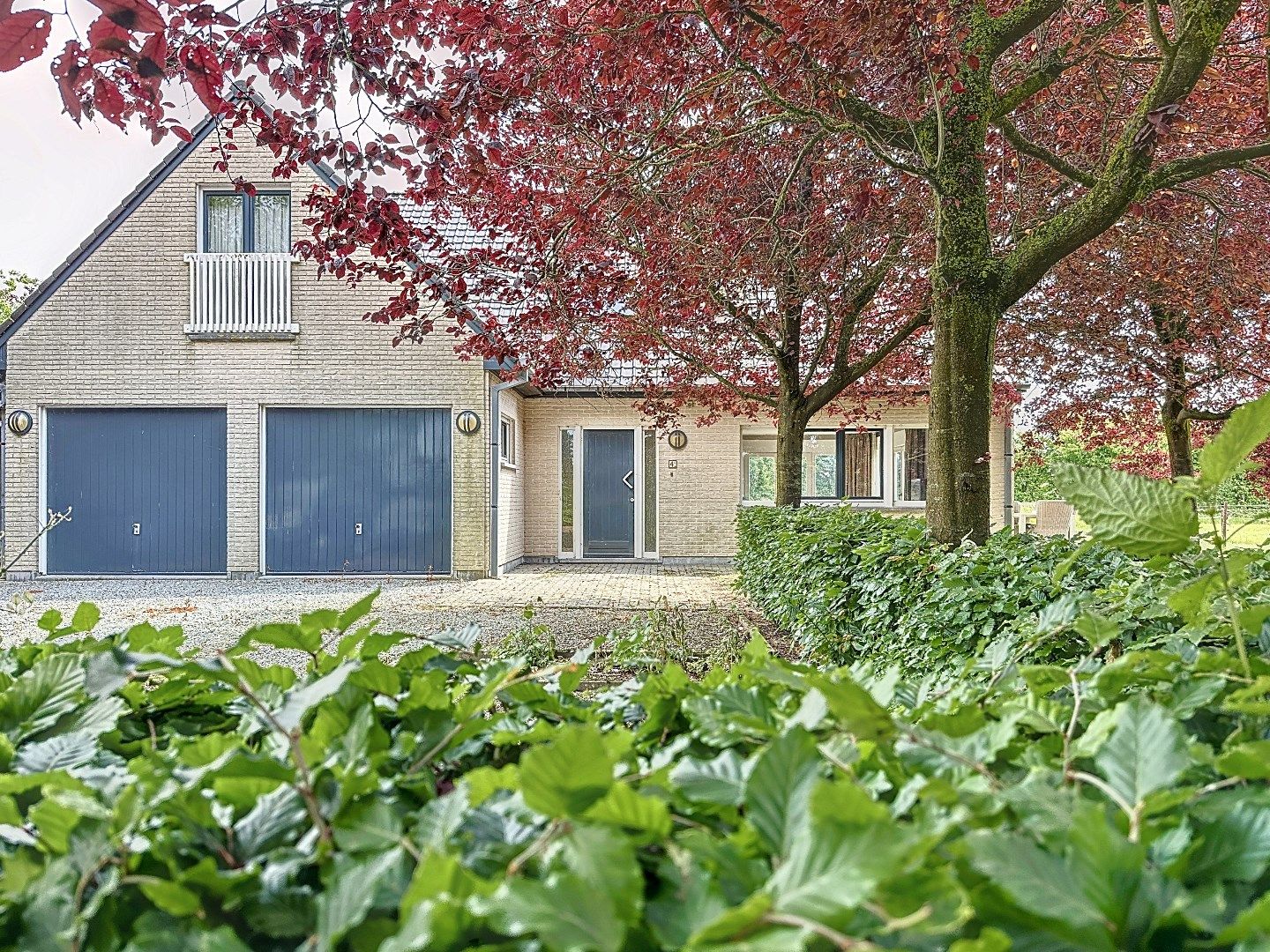 Landelijk aan de Zeeuwse Kust foto 2