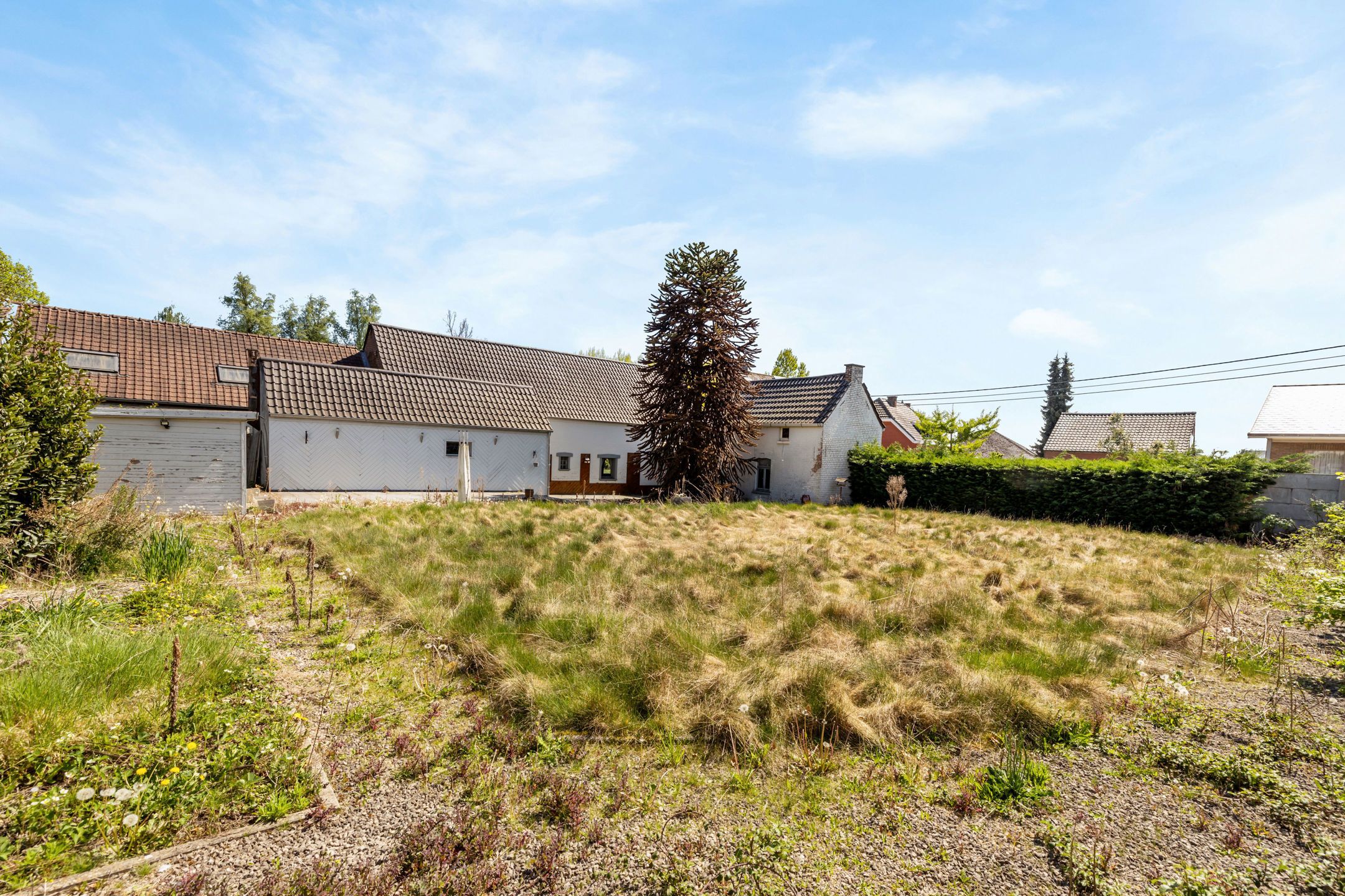 Ruime woning met garage + atelier + (bouw) grond op 9a 30ca foto 26