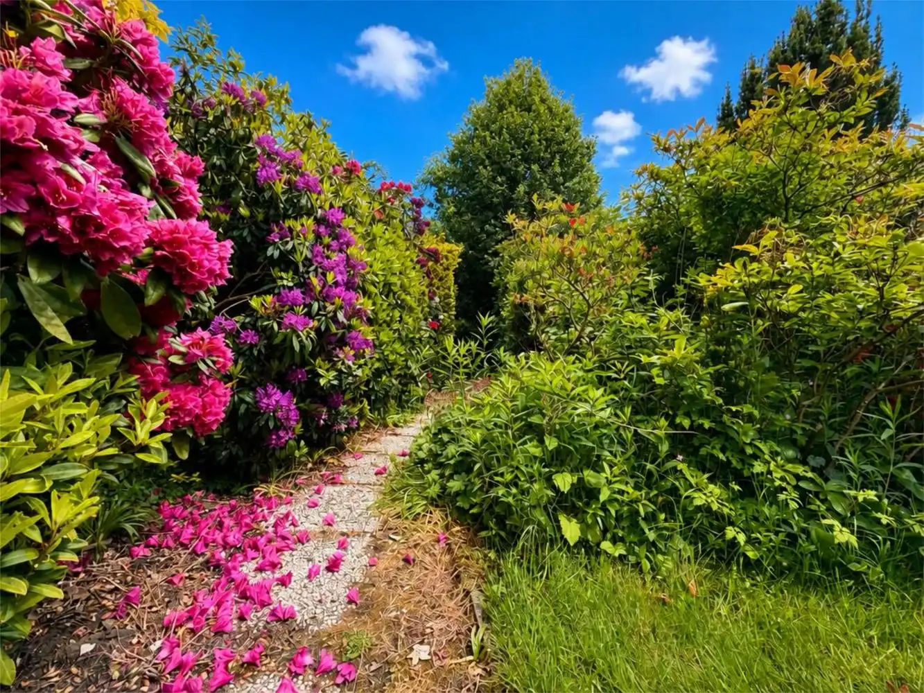Op te frissen alleenstaande woning met riante tuin foto 28