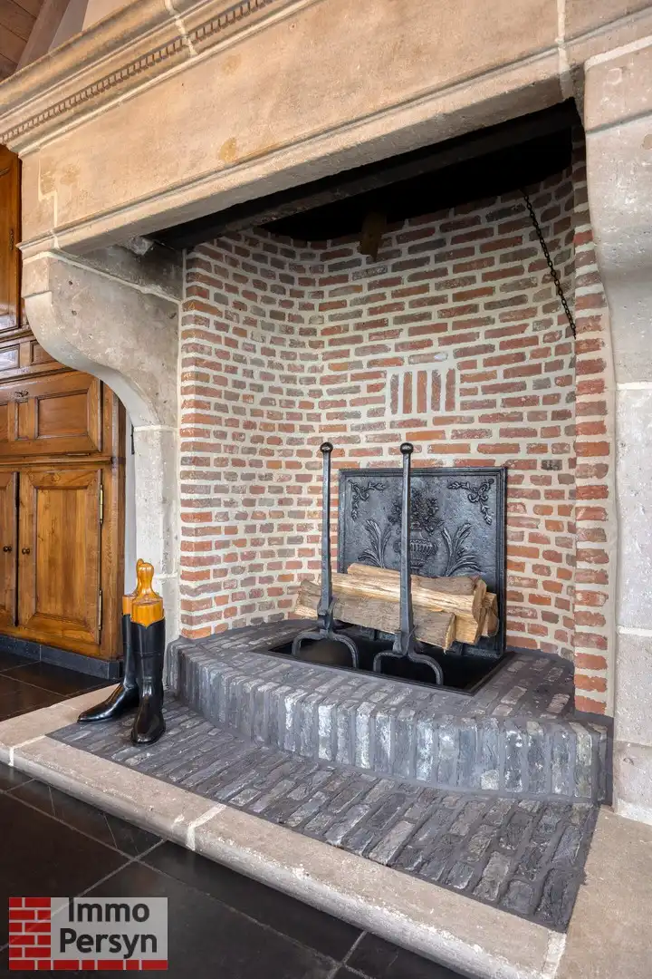 Exclusieve villa op 1,2ha in het groene Langdorp foto 12