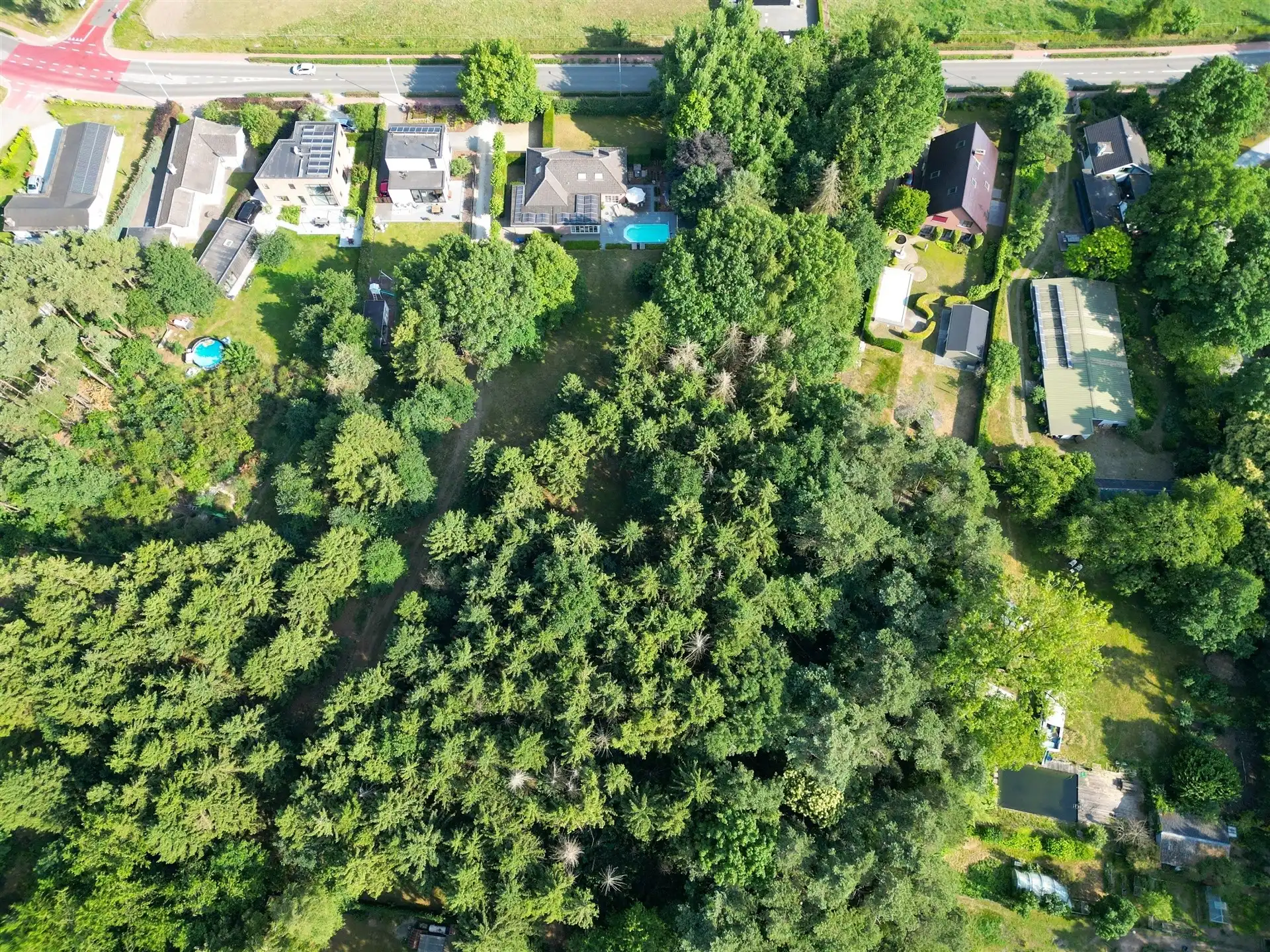 bouwgrond + achterliggend bos, samen 1.590m² foto 3