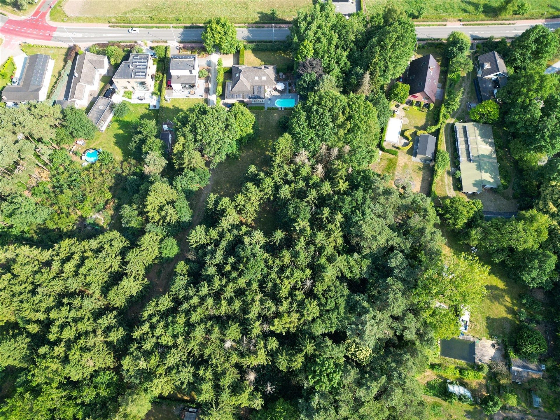 bouwgrond + achterliggend bos, samen 1.590m² foto 3