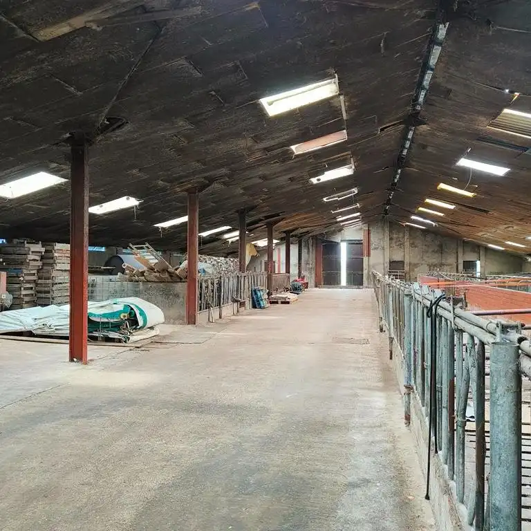 Stalgebouw te Loenhout foto 2