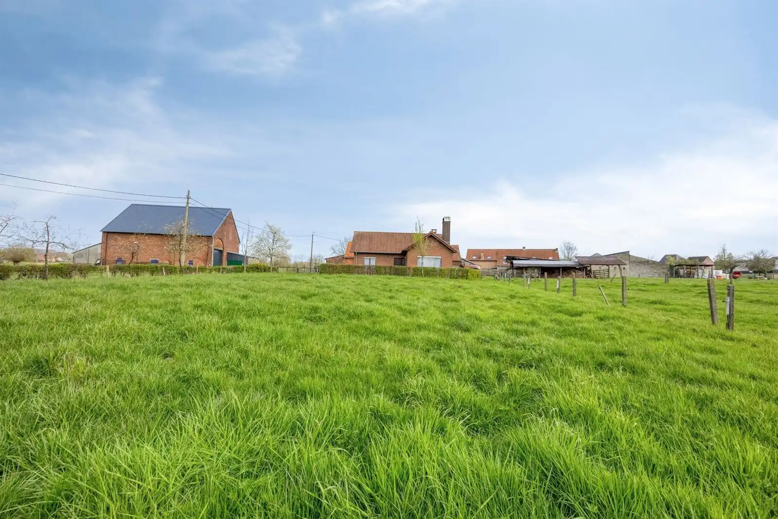 Alleenstaande woning met schuur en omliggende weiden  foto 27