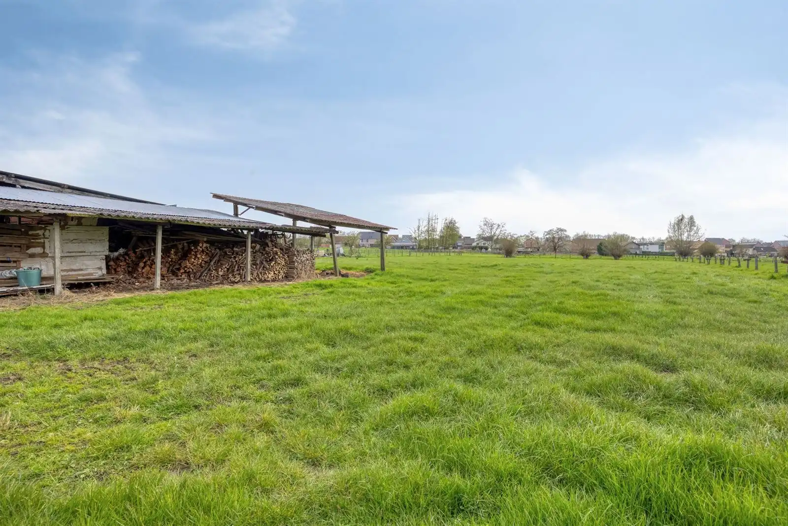 Alleenstaande woning met schuur en omliggende weiden  foto 27