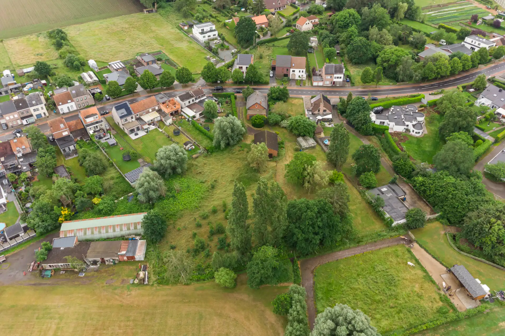 Unieke kans: Riant perceel (5.526 m²) met mogelijkheden foto 3