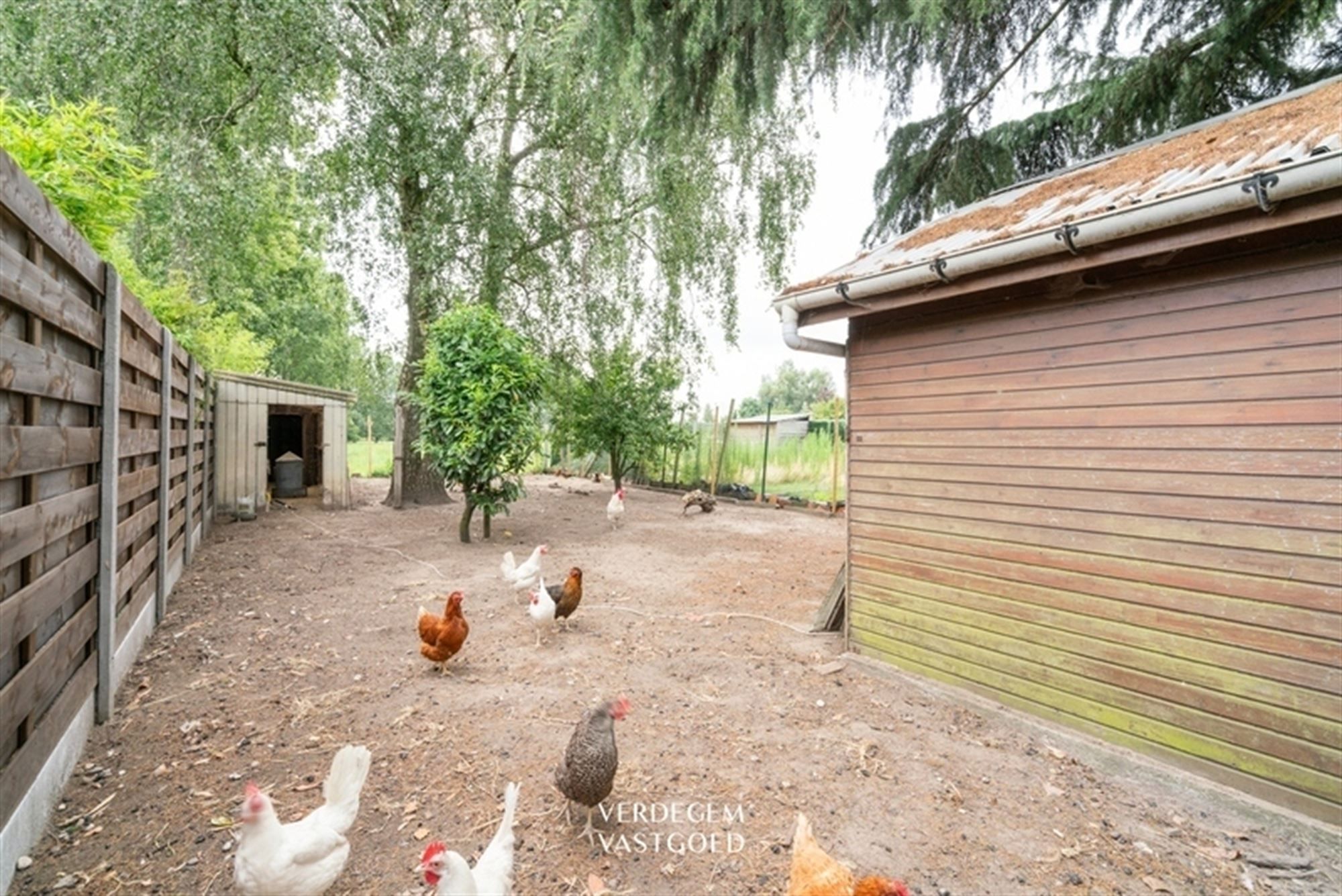Halfopen woning met 3 slaapkamers, garage en perceel van 660m² foto 18
