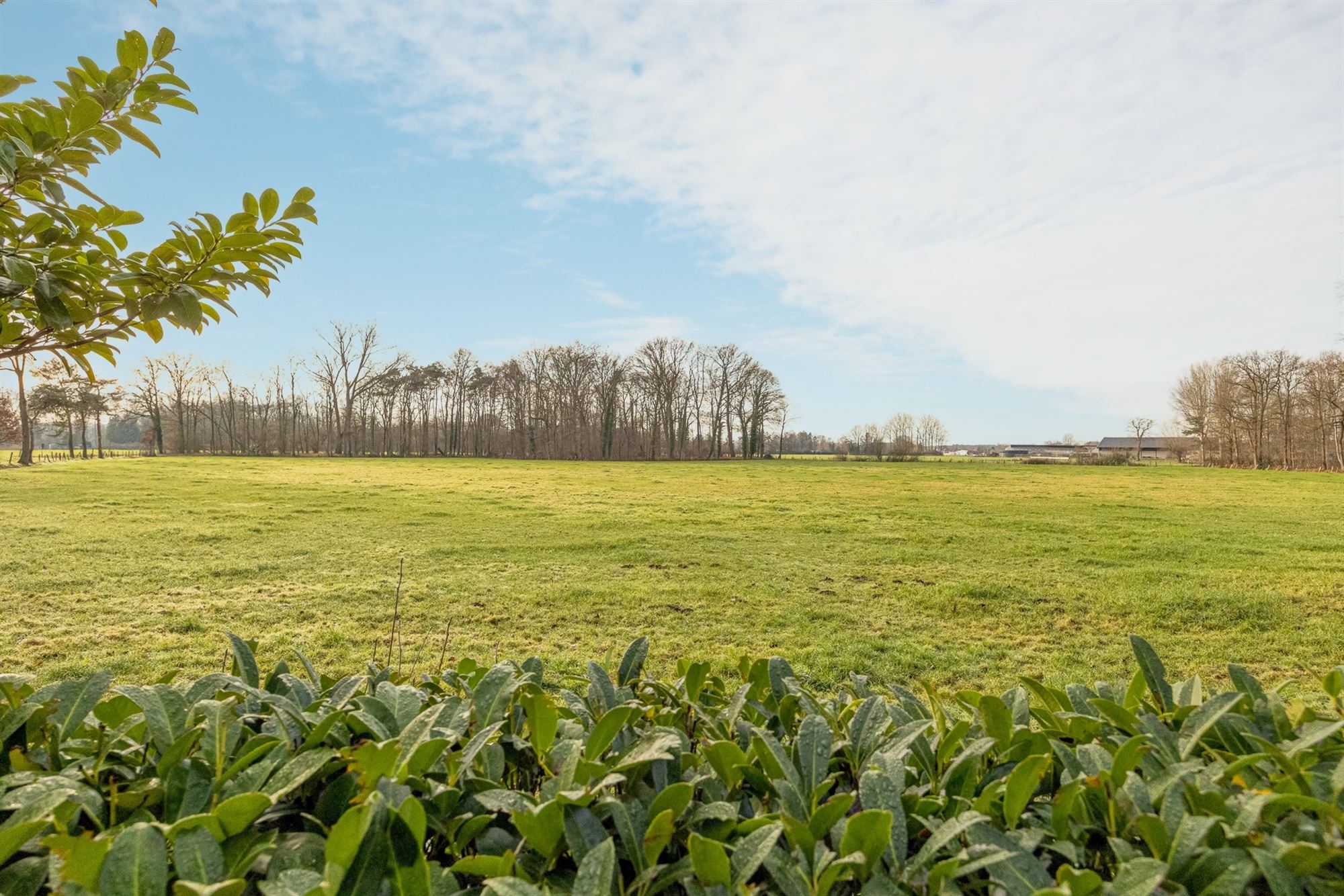 Charmante chalet met privatieve vijver op idyllisch perceel foto 19