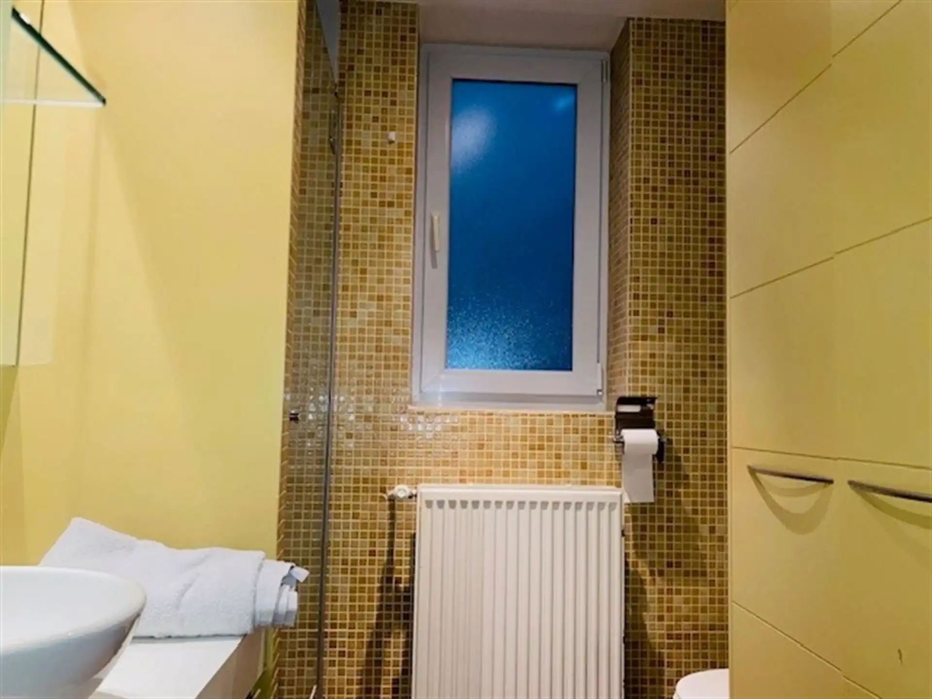 Mooi gemeubeld 1SK appartement - Kortbij EGG foto 10