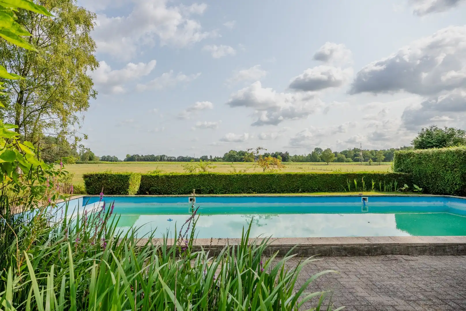 Villa met vergezicht en zwembad in Brasschaat foto 5