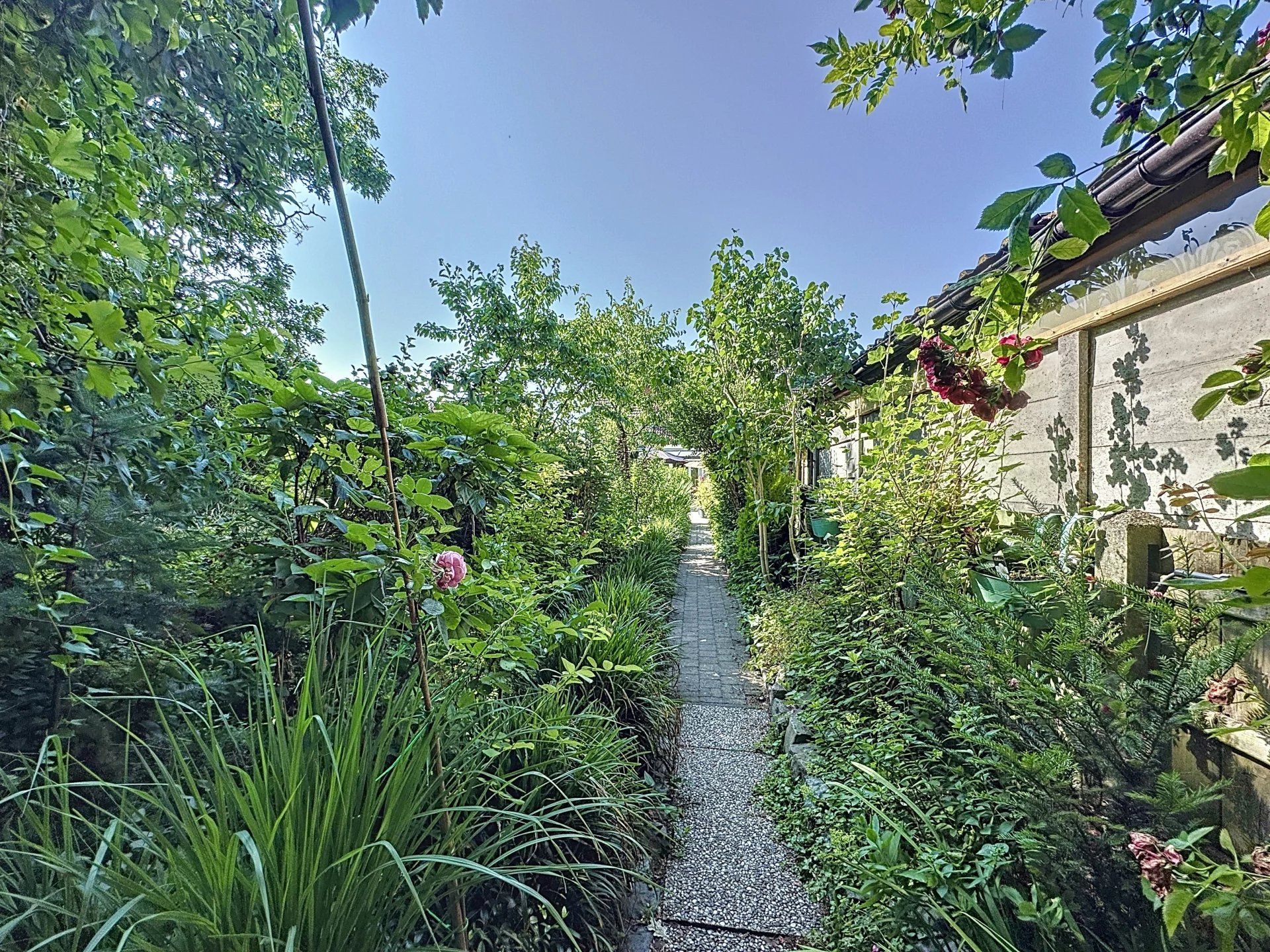 Super gezellige woning met groot terras, mooie bloementuin en carport. foto 16