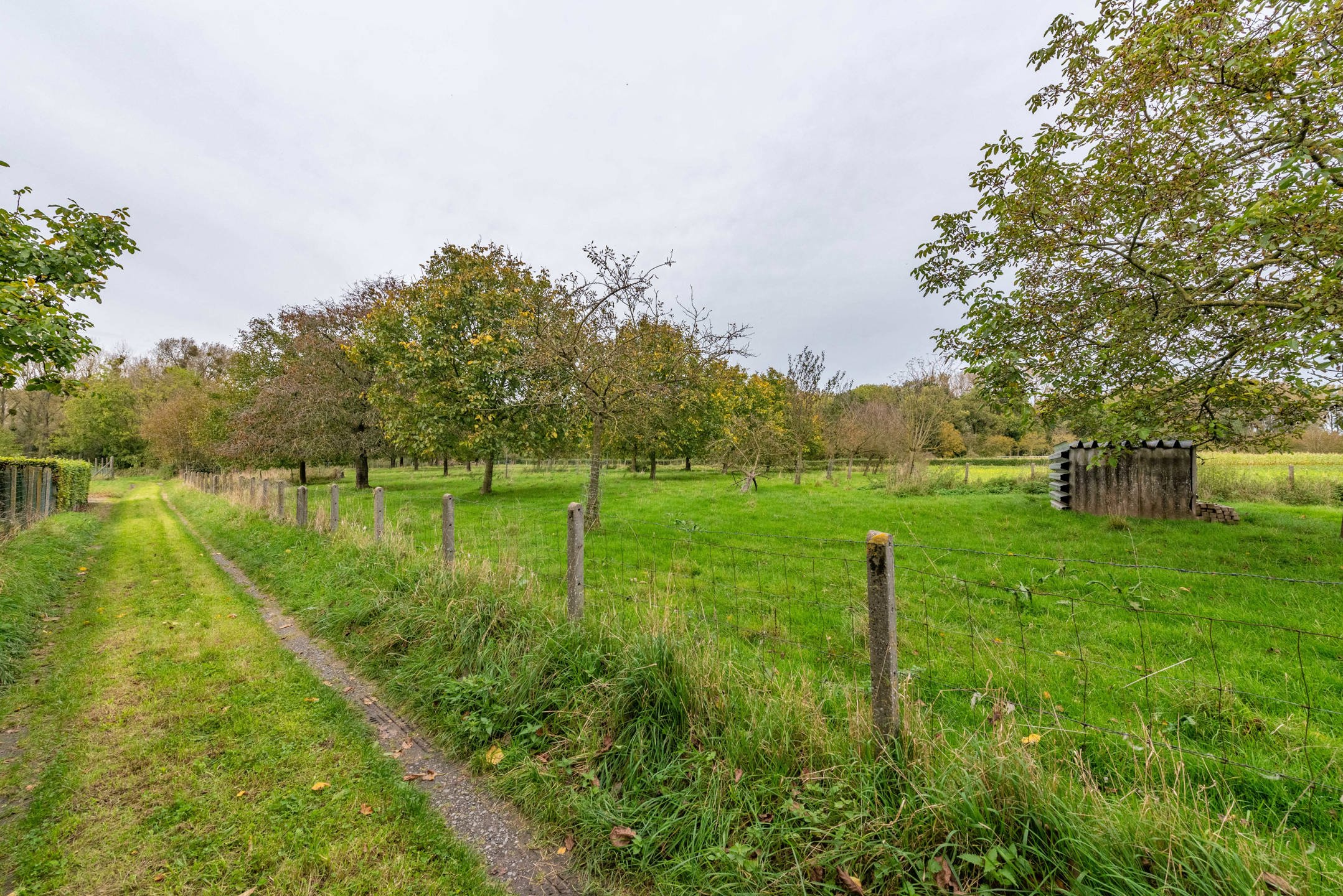 OB met paardenweide op 22a36ca te Membruggen foto 26