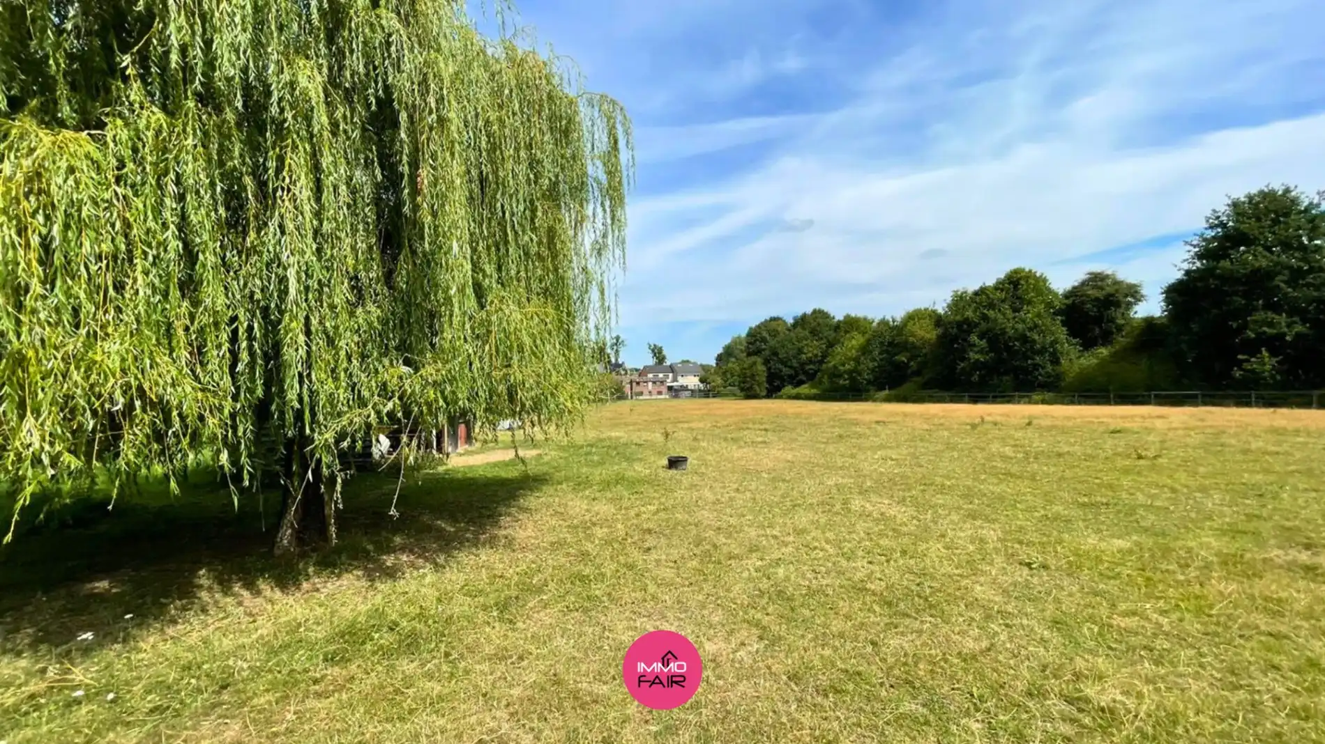 Weiland van maar liefst 6012 m²! foto 4