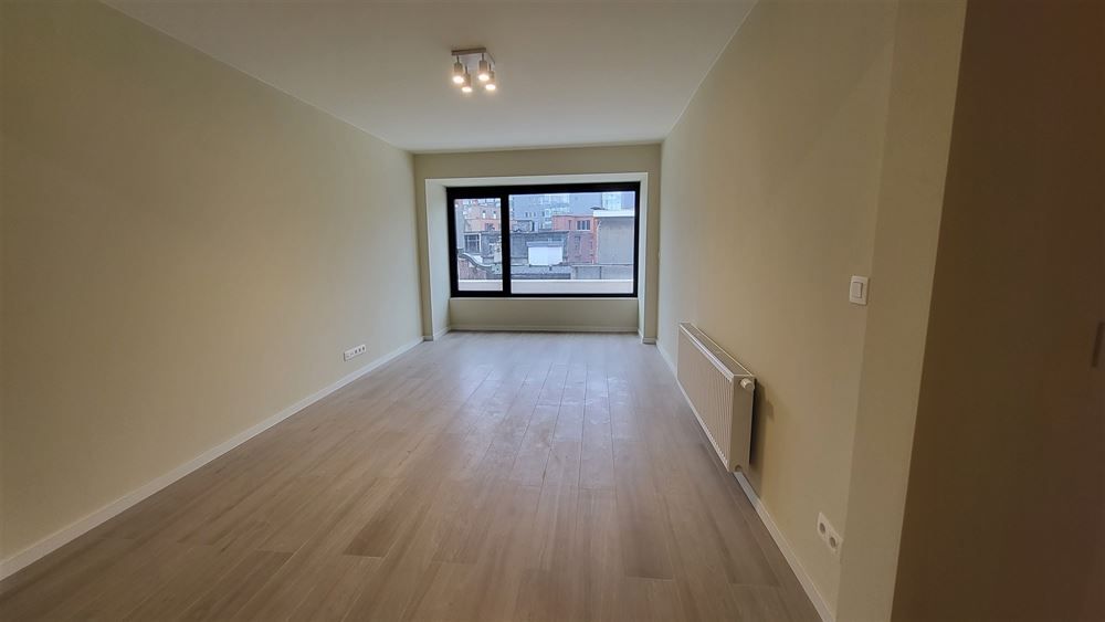 Gerenoveerd 3-slpkr appartement + ruim terras| Antwerpen-Centrum  foto 6