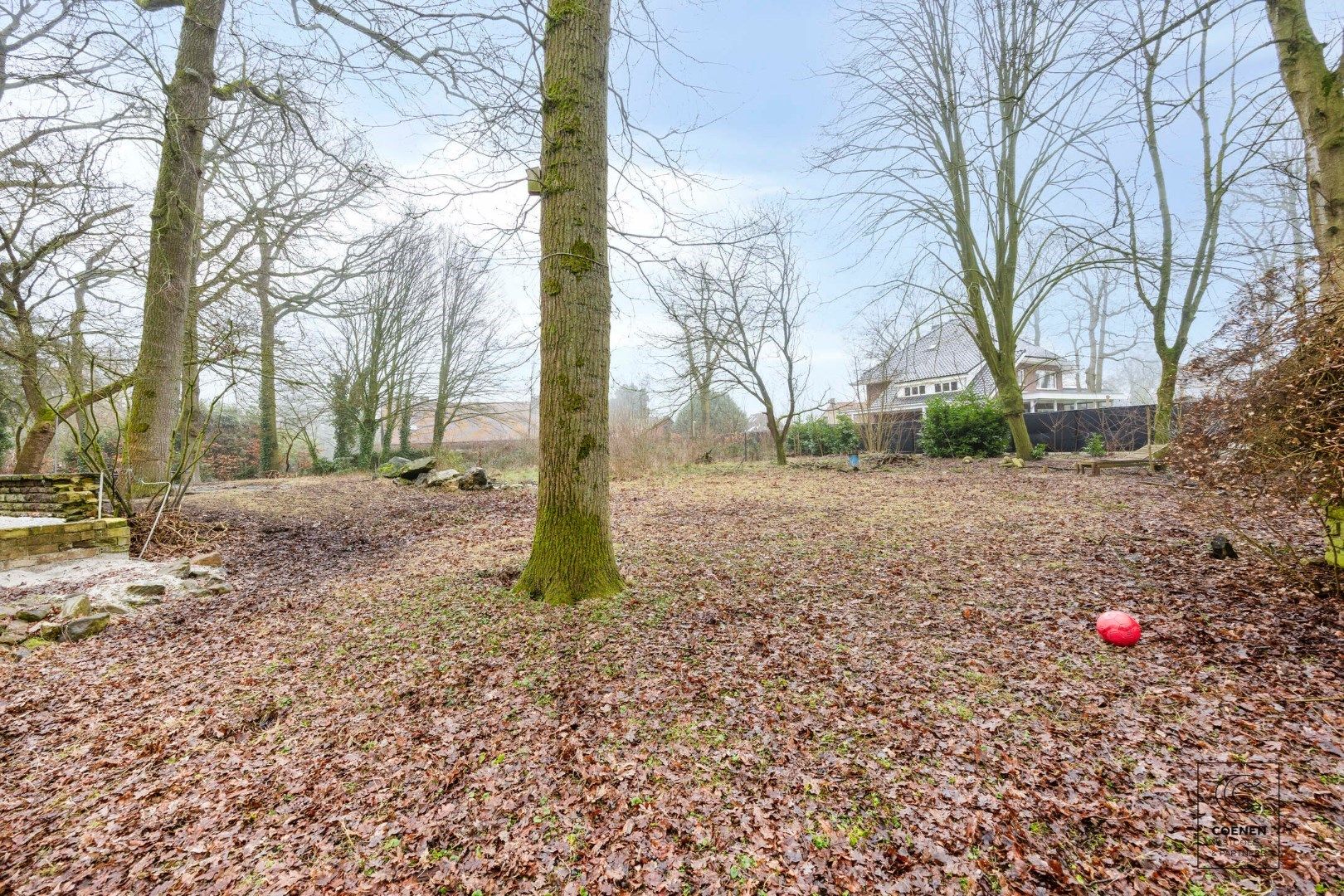 Verder te renoveren villa met een bew opp van 400m² op 5500m² grond op een schitterende ligging te Oud-Turnhout. foto 43