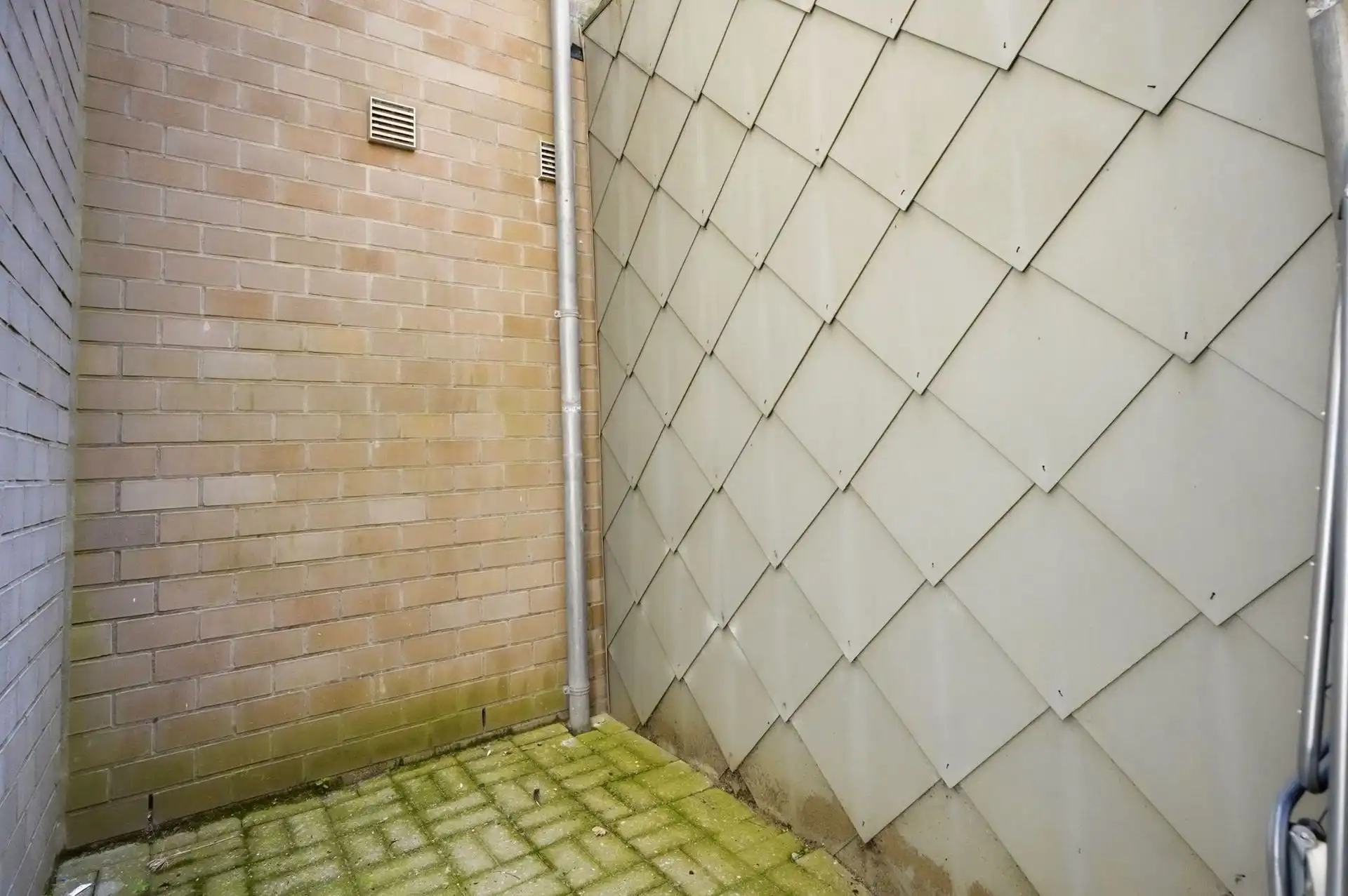 TOPLOCATIE / KOER  foto 16
