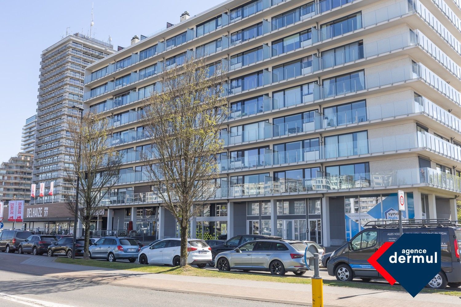 RESIDENTIE DE RA foto 27