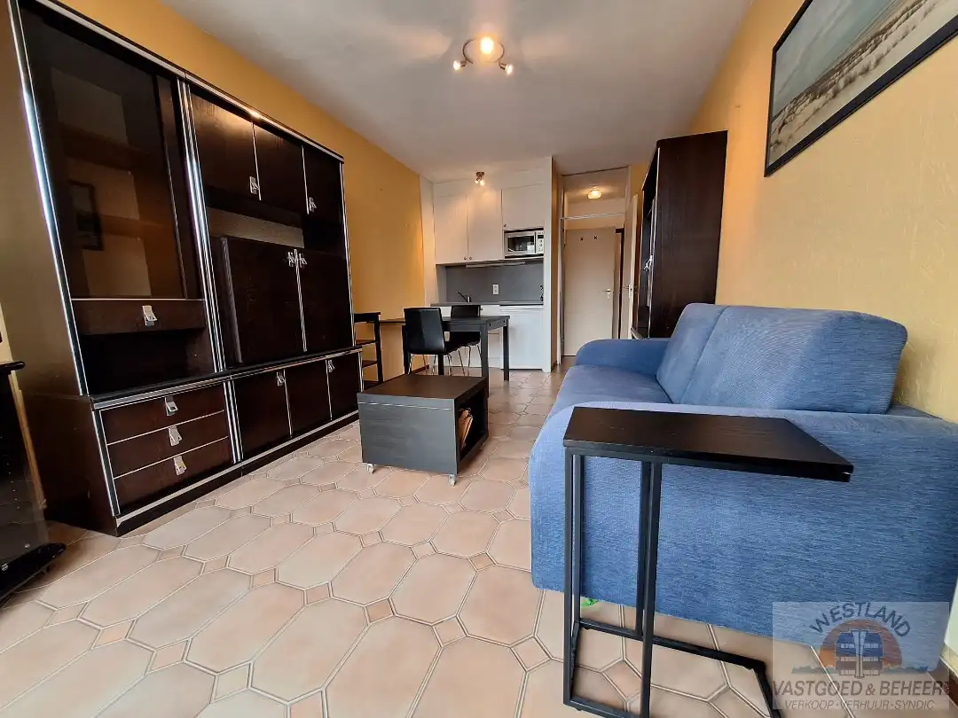 Knusse gemeubelde studio foto 2