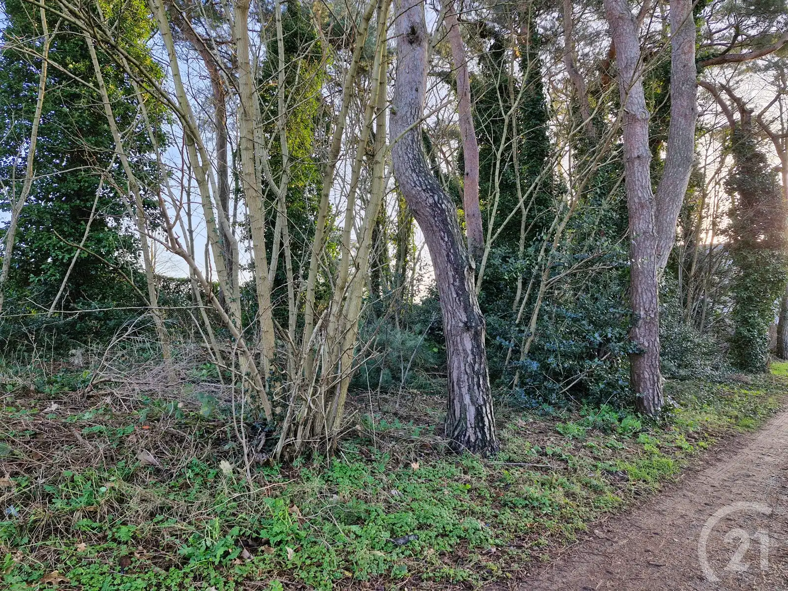 Bouwgrond te koop in Tremelo! foto 3