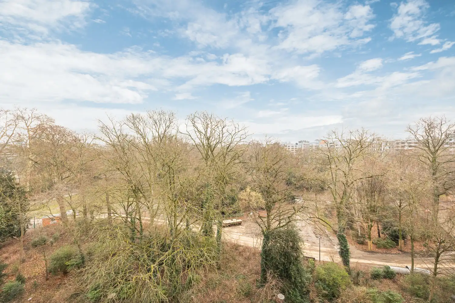 Luxueuze en energiezuinige (EPC B) totaalrenovatie met zalig parkzicht aan de Rubenslei in hartje Antwerpen + optionele parking foto 3