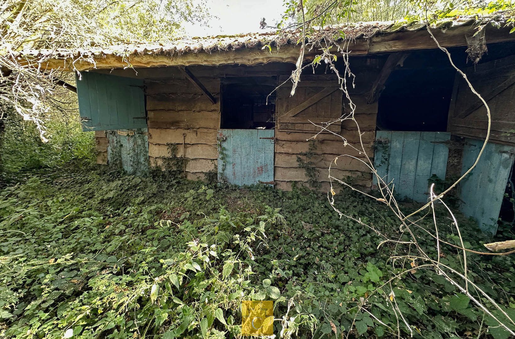 sfeervol landhuis met schuur, garage, zwemvijver en poolhouse, 3 paardenstallen, akkerland en weiland. Idyllische locatie te Torhout (Sint-Henricus), 2,55 ha foto 9