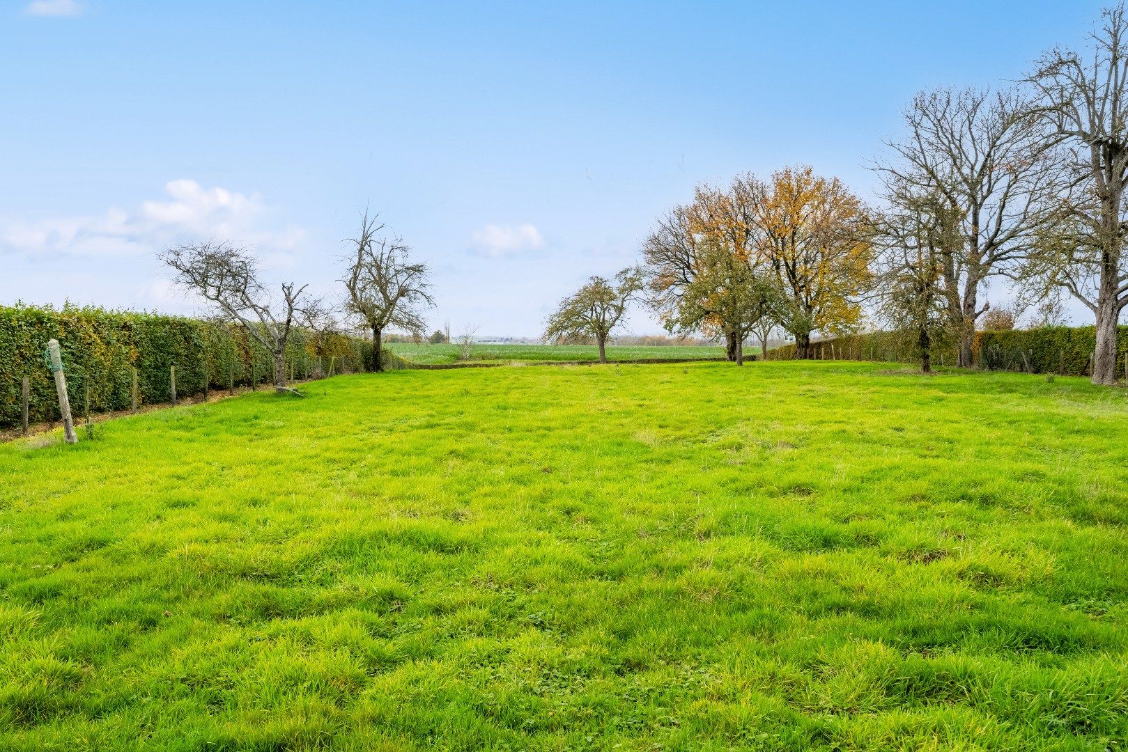 Karakterwoning op perceel van 41are01ca met straatbreedte van 30m foto 6