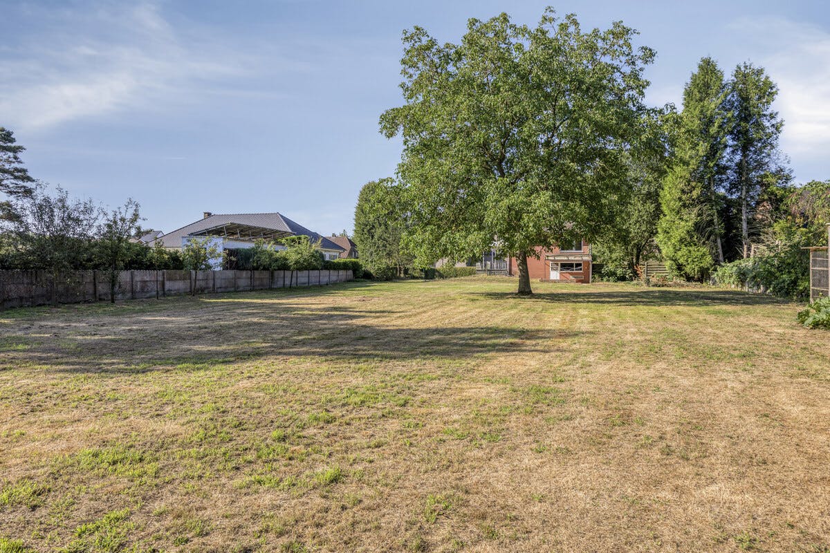 te renoveren huis op een perceel van 2445m² te koop in Geel foto 7