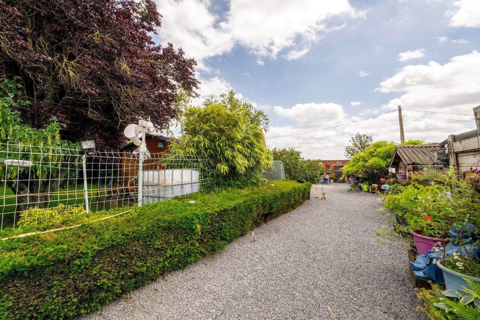 LANDELIJK GELEGEN WONING MET DIVERSE BIJGEBOUWEN OP 776m² foto 5