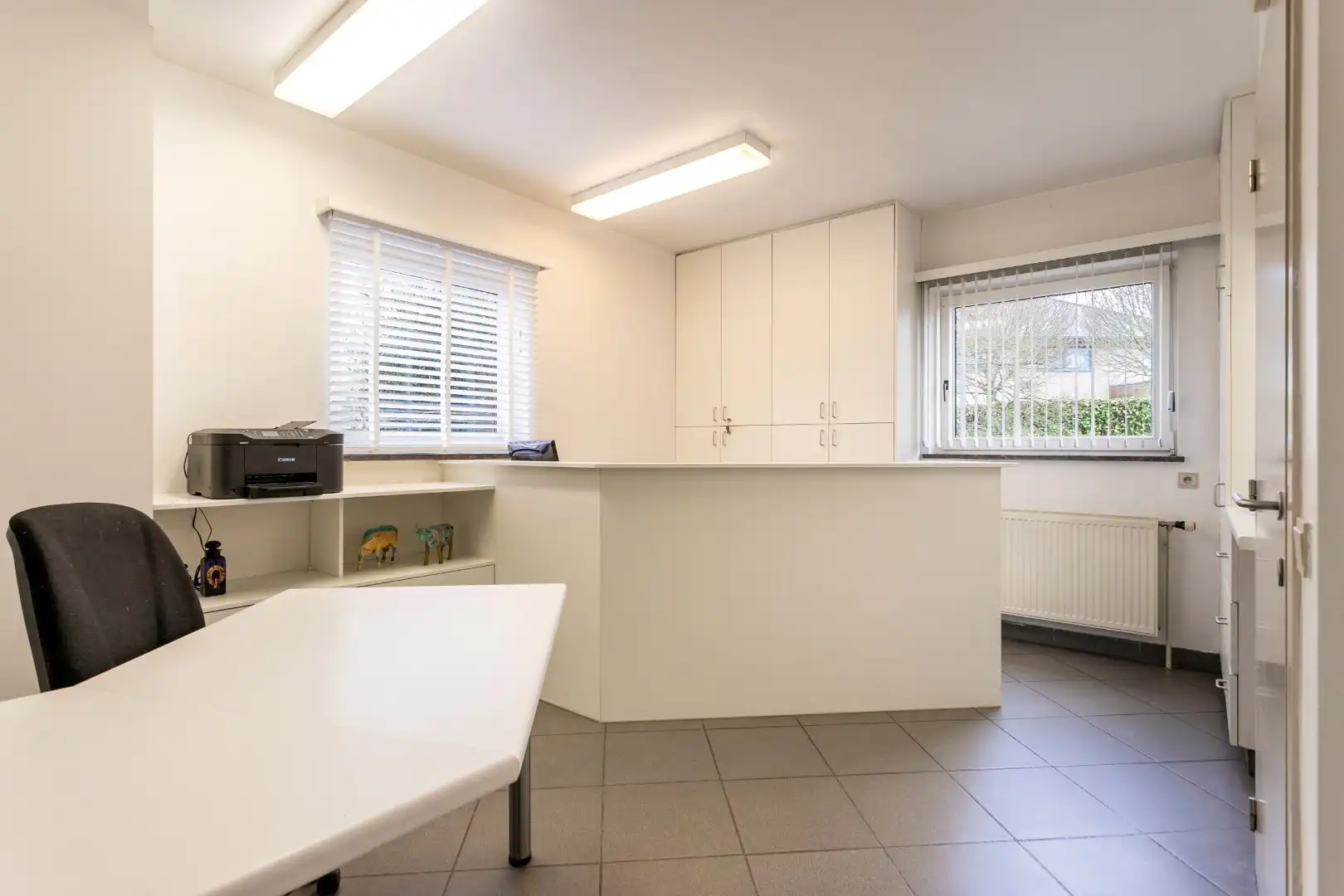 Instapklare villa te Heikruis, 4 slpks, bureau, dubbele garage en ruime tuin foto 5