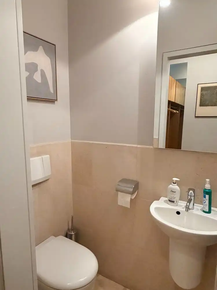 Bemeubeld 2-slaapkamerappartement van 150m² met 2 terrassen en zicht op de Dijle. foto 3