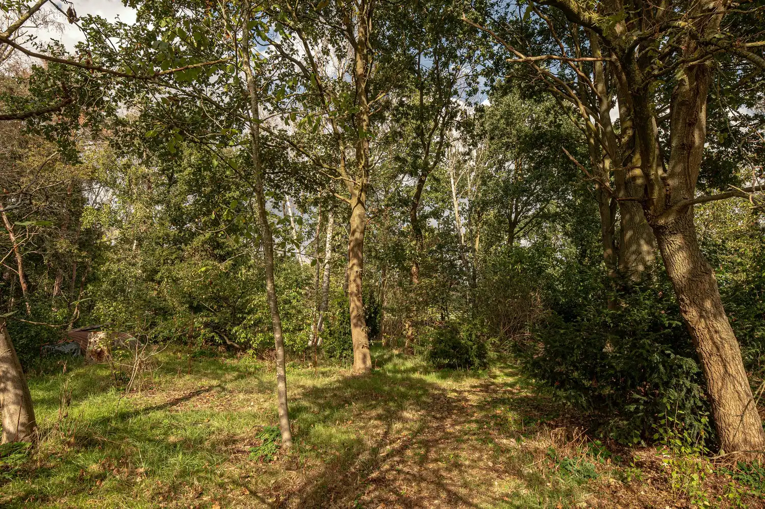 Ruime woning | 6 slpks | grote tuin foto 31