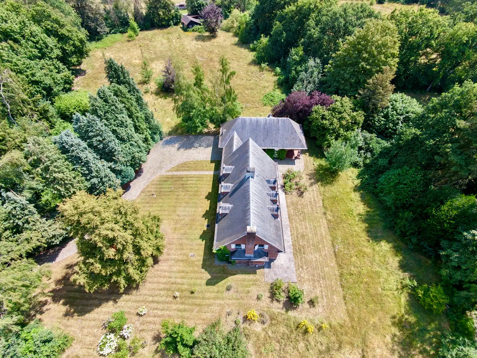 UNIEK PAARDENDOMEIN OP 28.870 M² foto 27