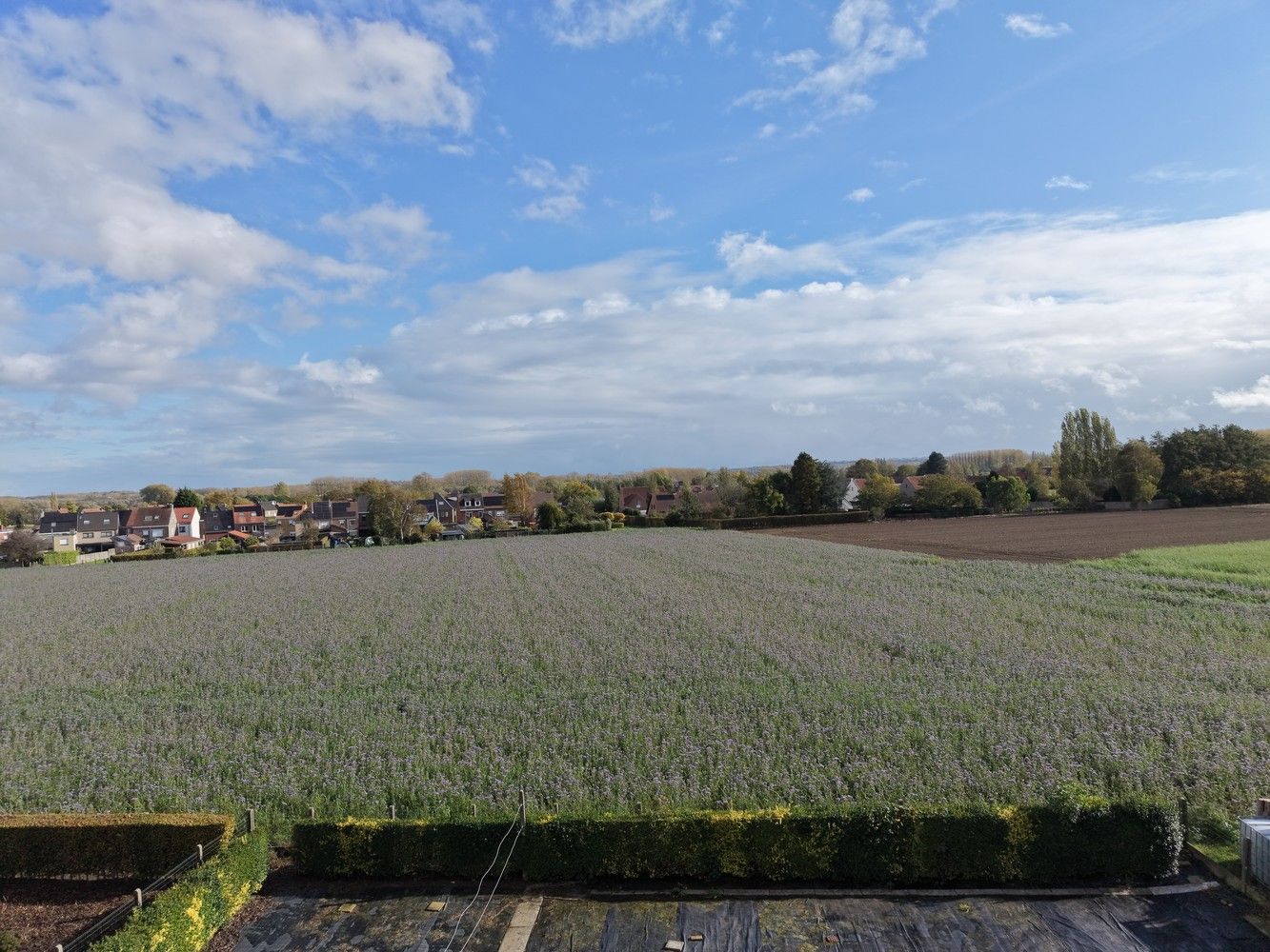🏡 TE KOOP – Woning met schitterend uitzicht en veel potentieel nabij centrum Zingem! 🌳 foto 13